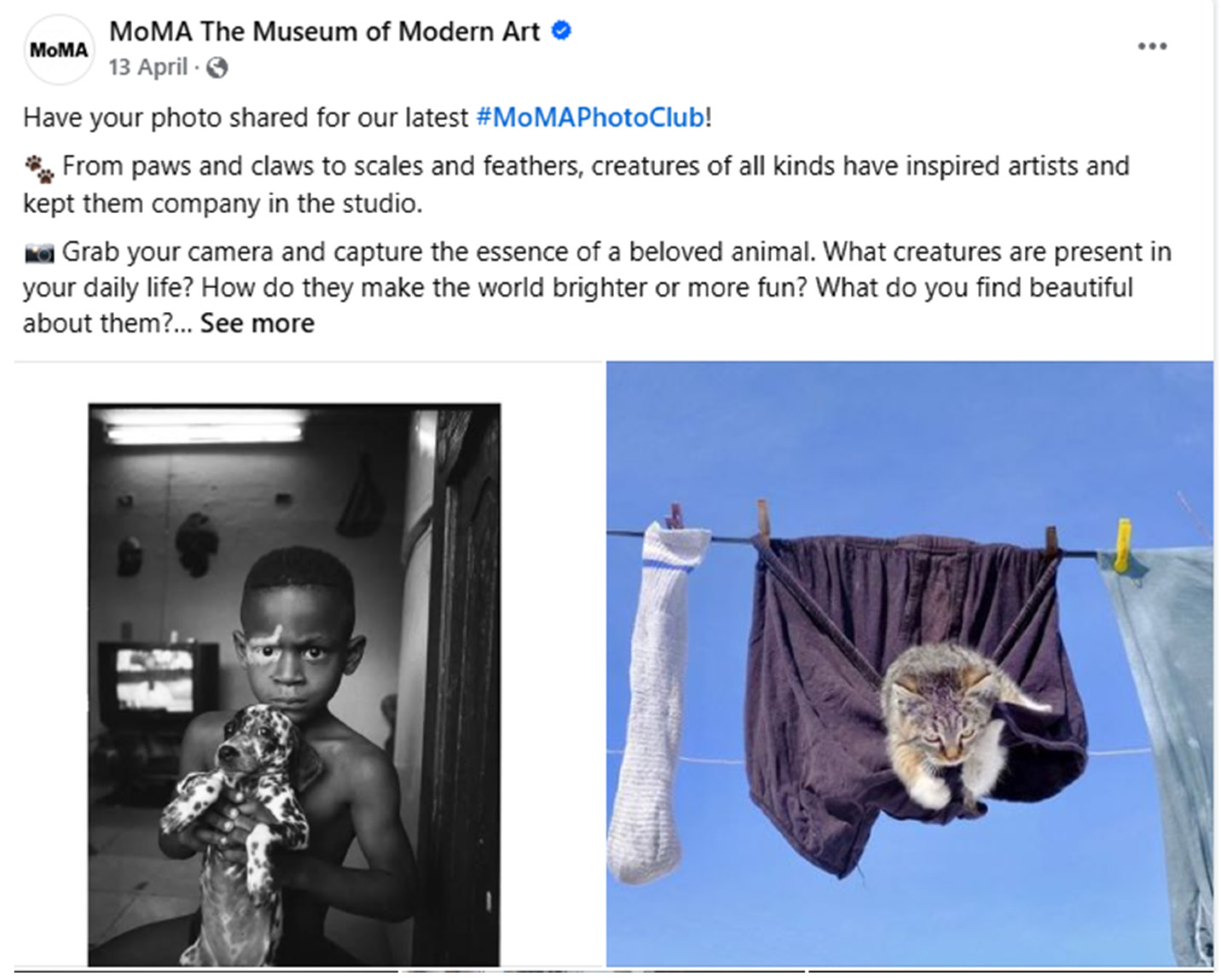 Sustainability 17 01972 g003