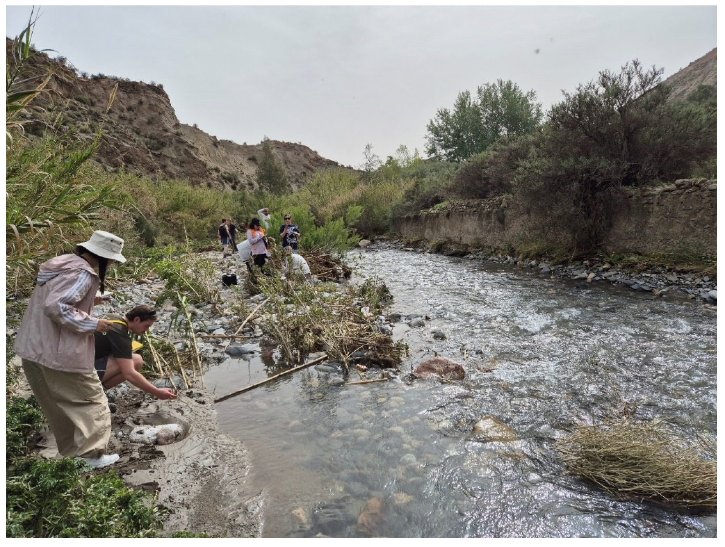 Sustainability 17 02008 g007