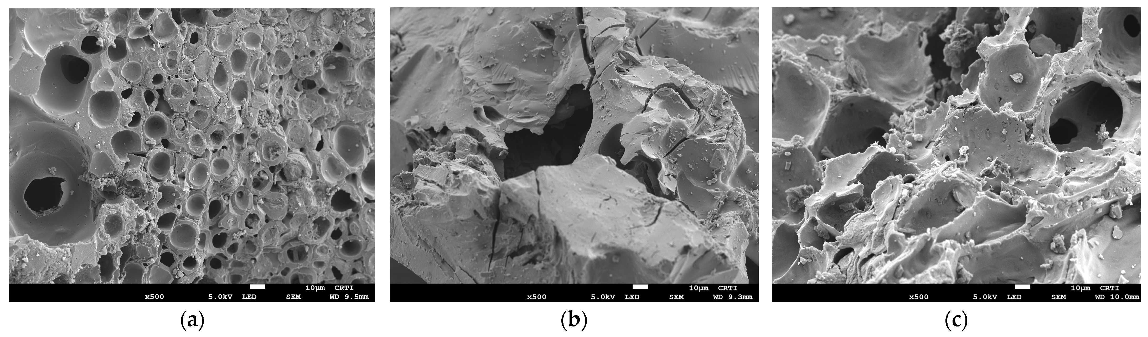 Sustainability 17 02036 g003