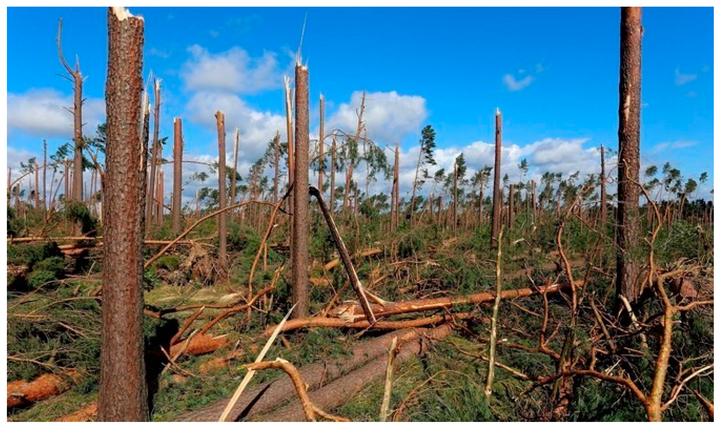 Sustainability 17 02060 g008