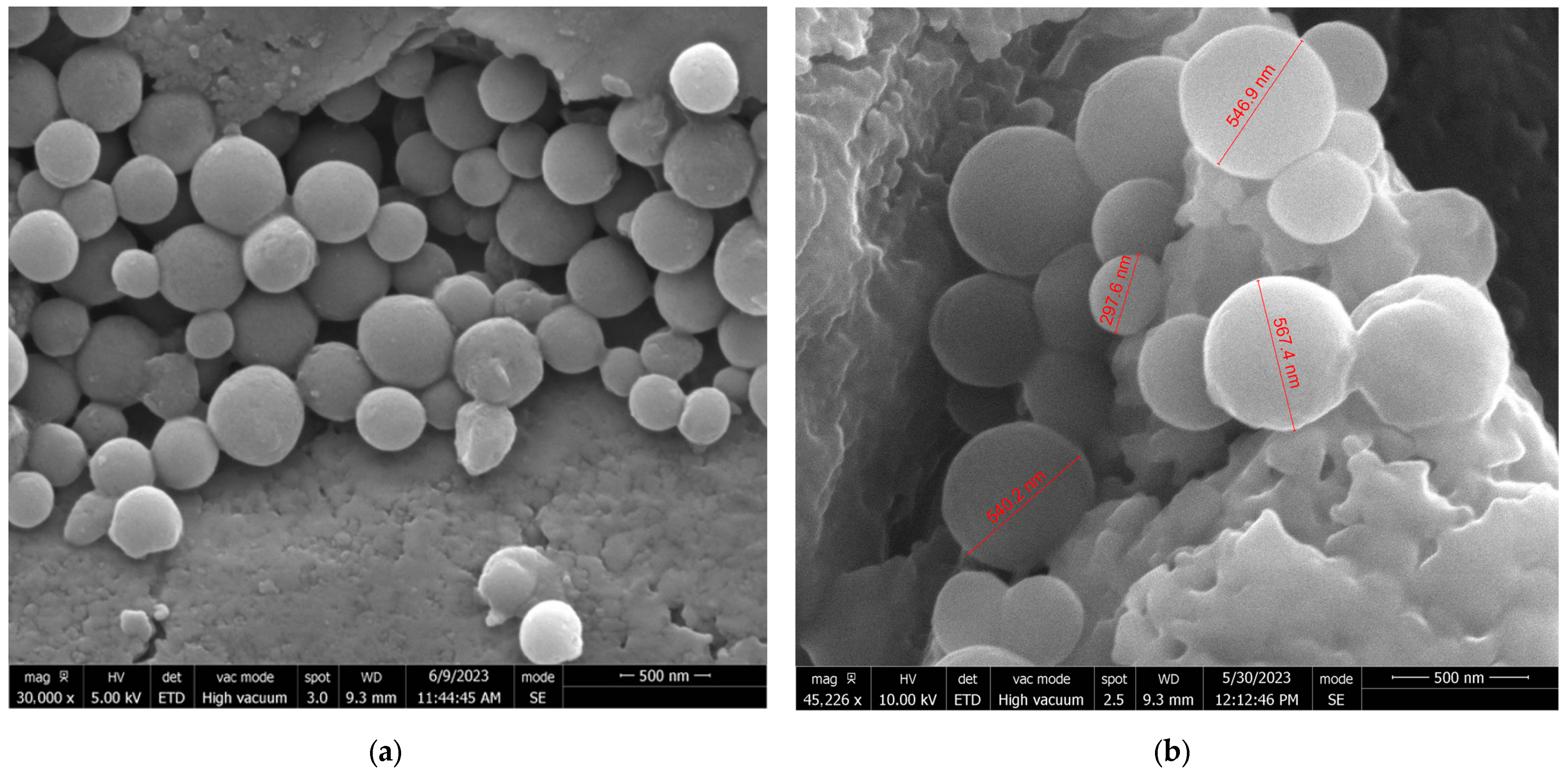 Sustainability 17 02071 g002