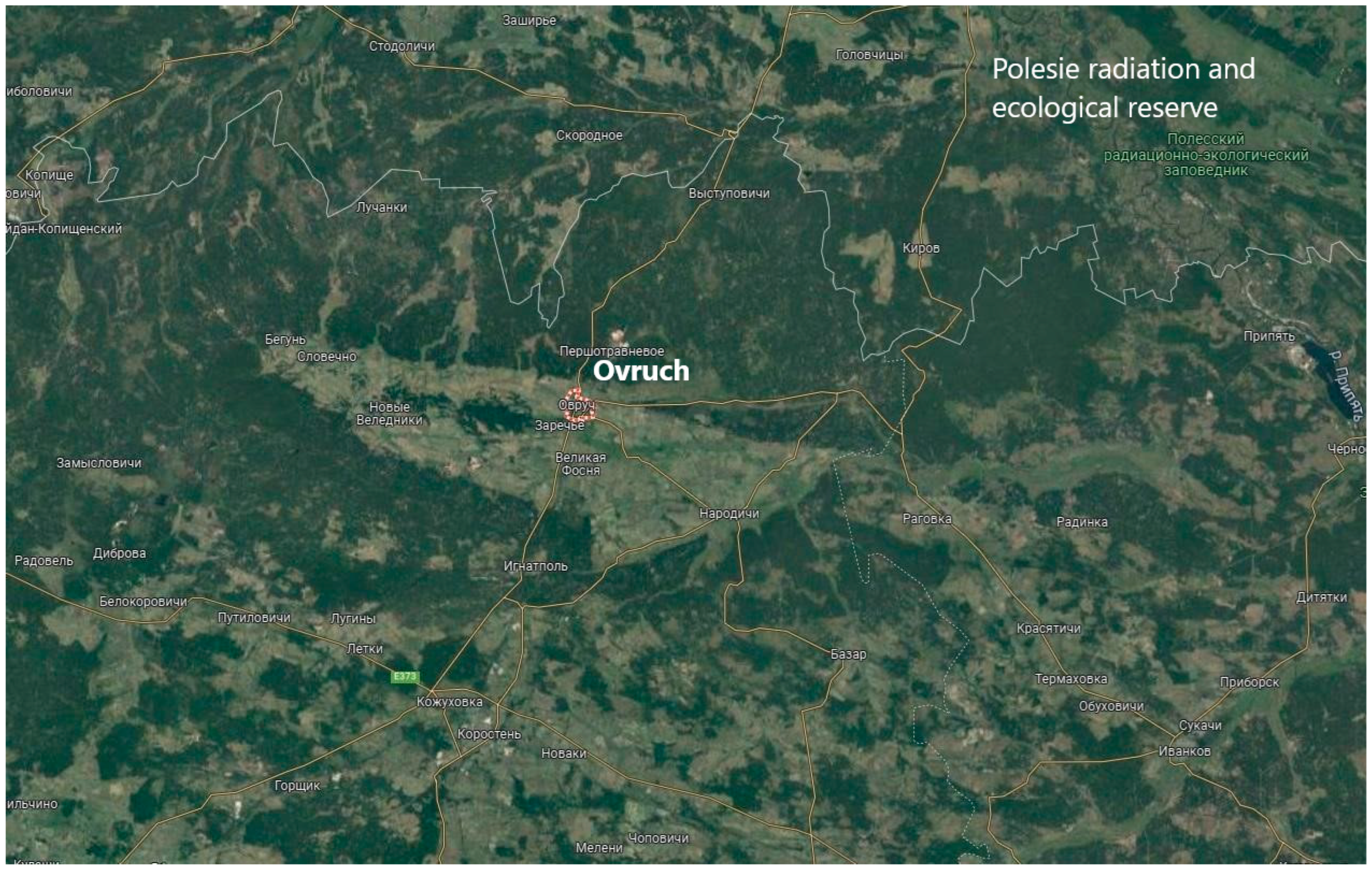 Sustainability 17 02098 g003