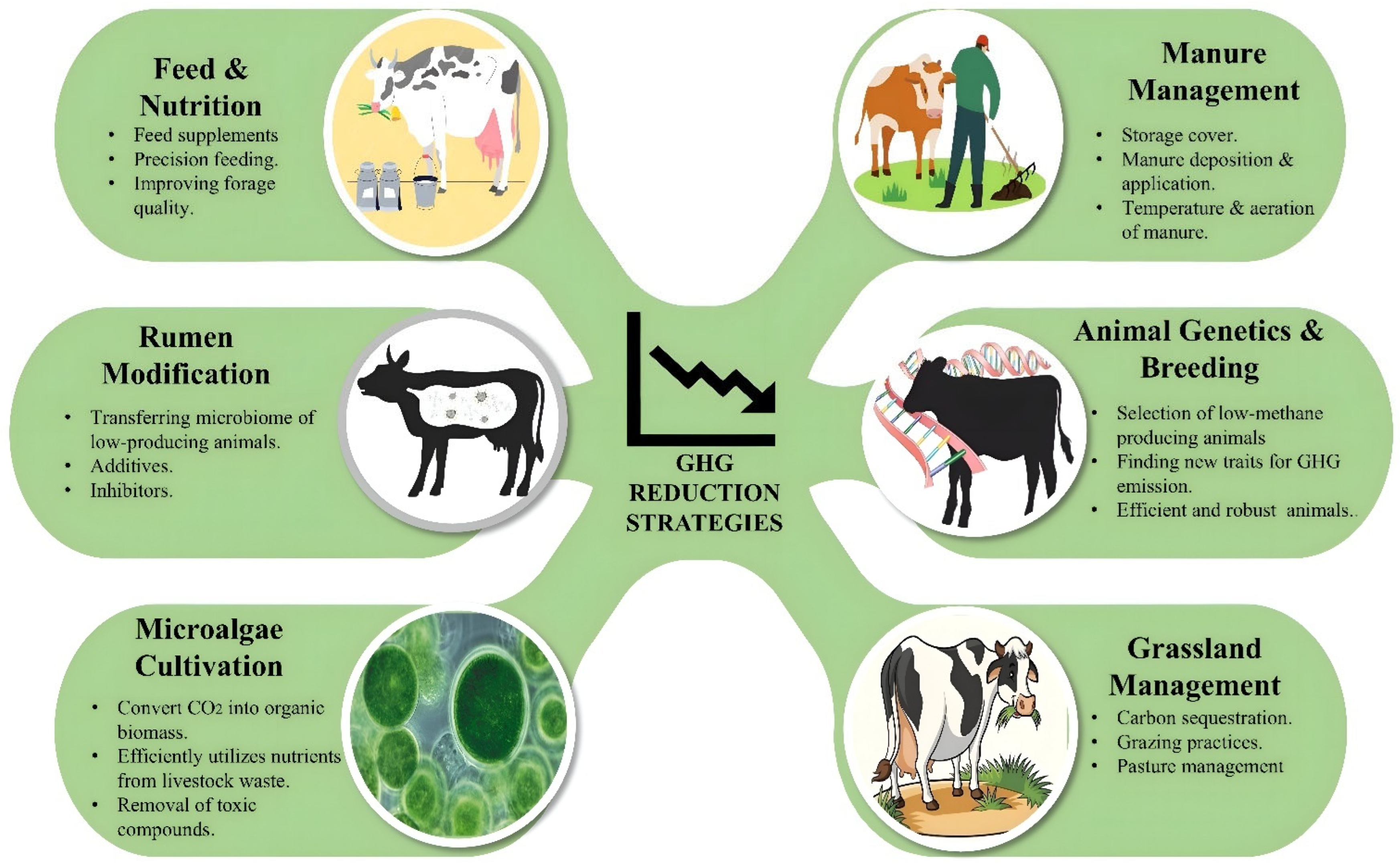 Sustainability 17 02105 g008