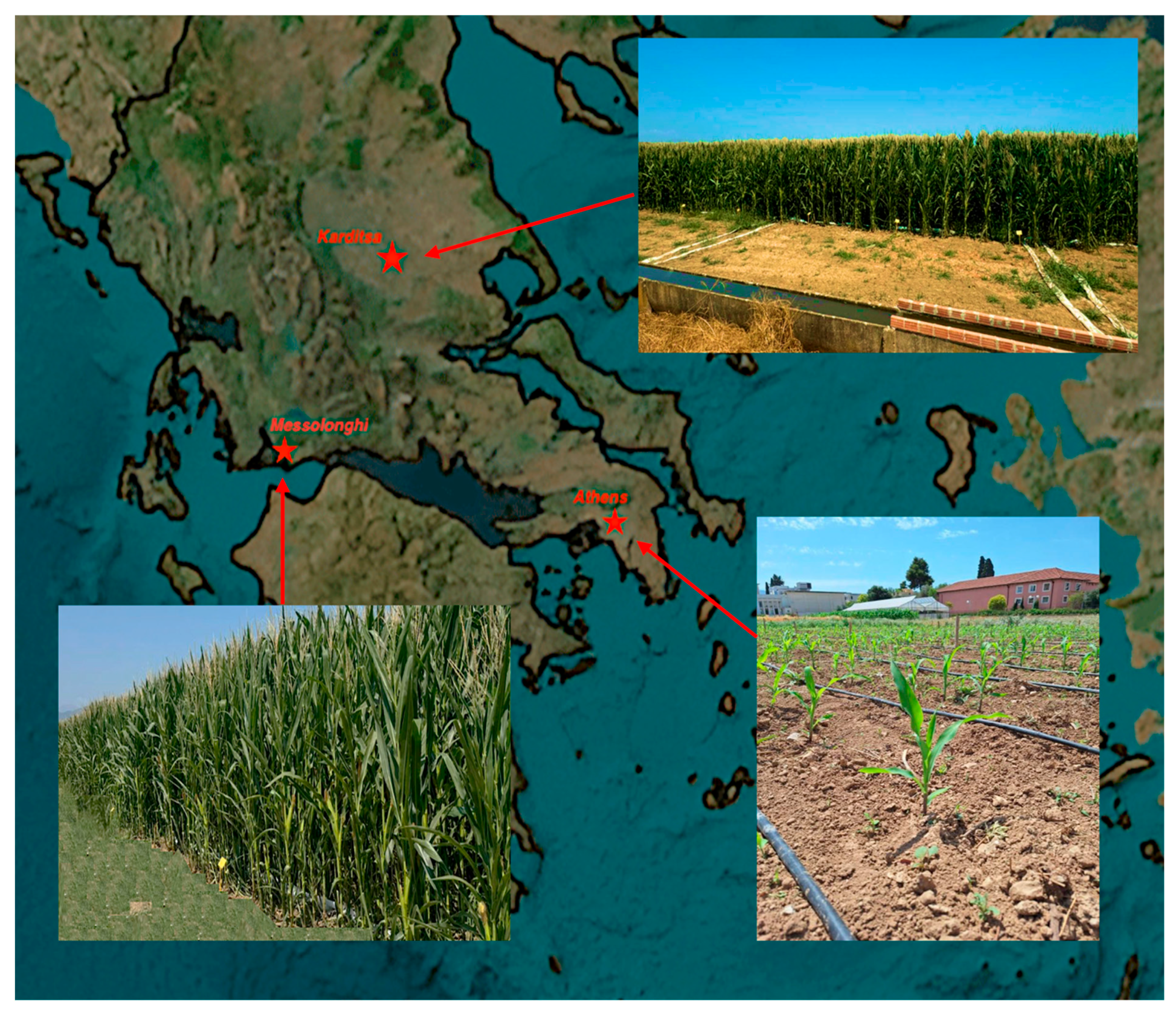 Sustainability 17 02178 g001