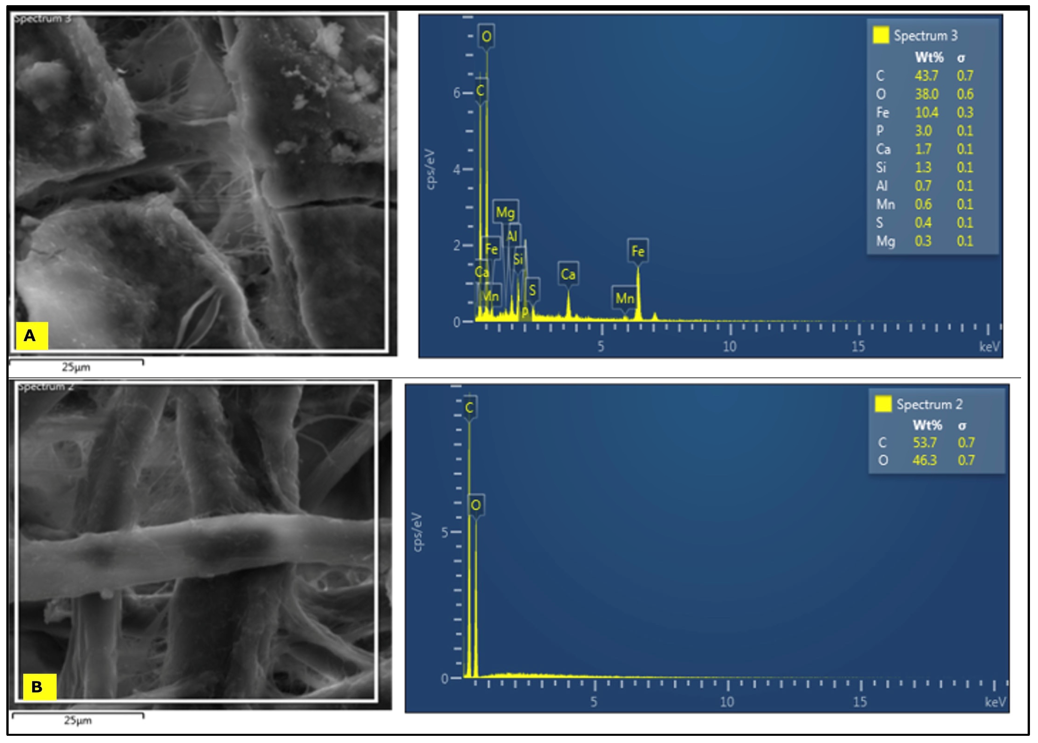 Sustainability 17 02211 g007