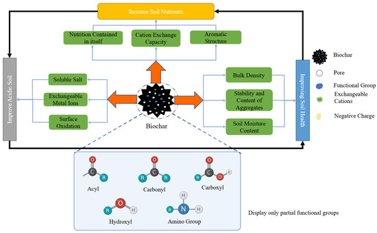 The Biological Effects of Biochar on Soil's Physical and The Biological Effects of Biochar on Soil's Physical and