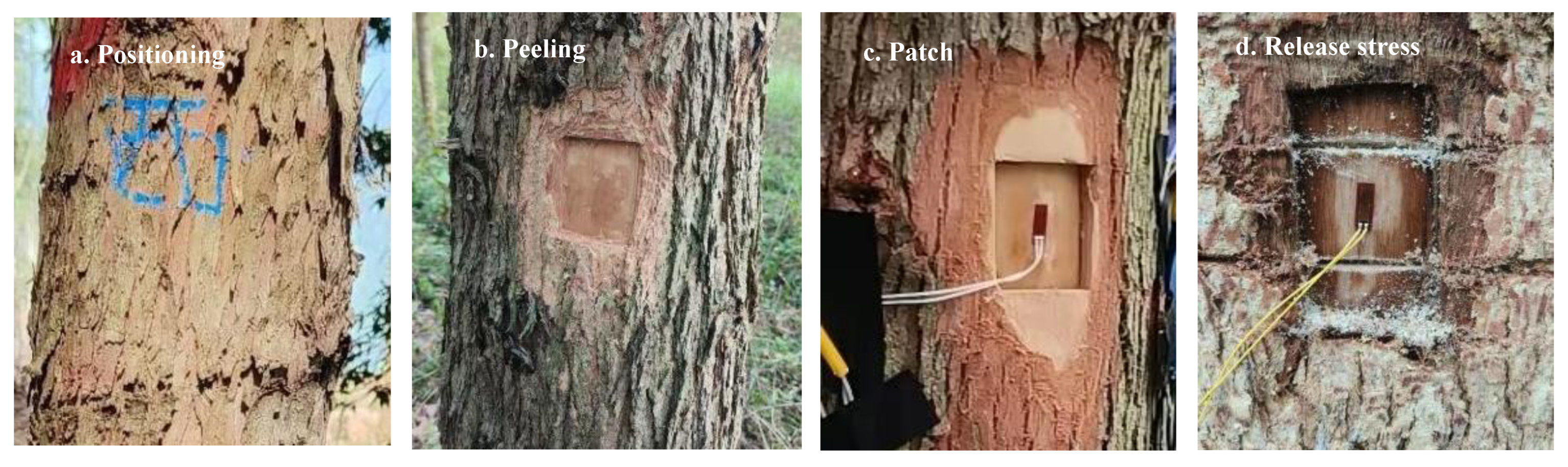 Sustainability 17 02229 g001 Sustainability 17 02229 g001