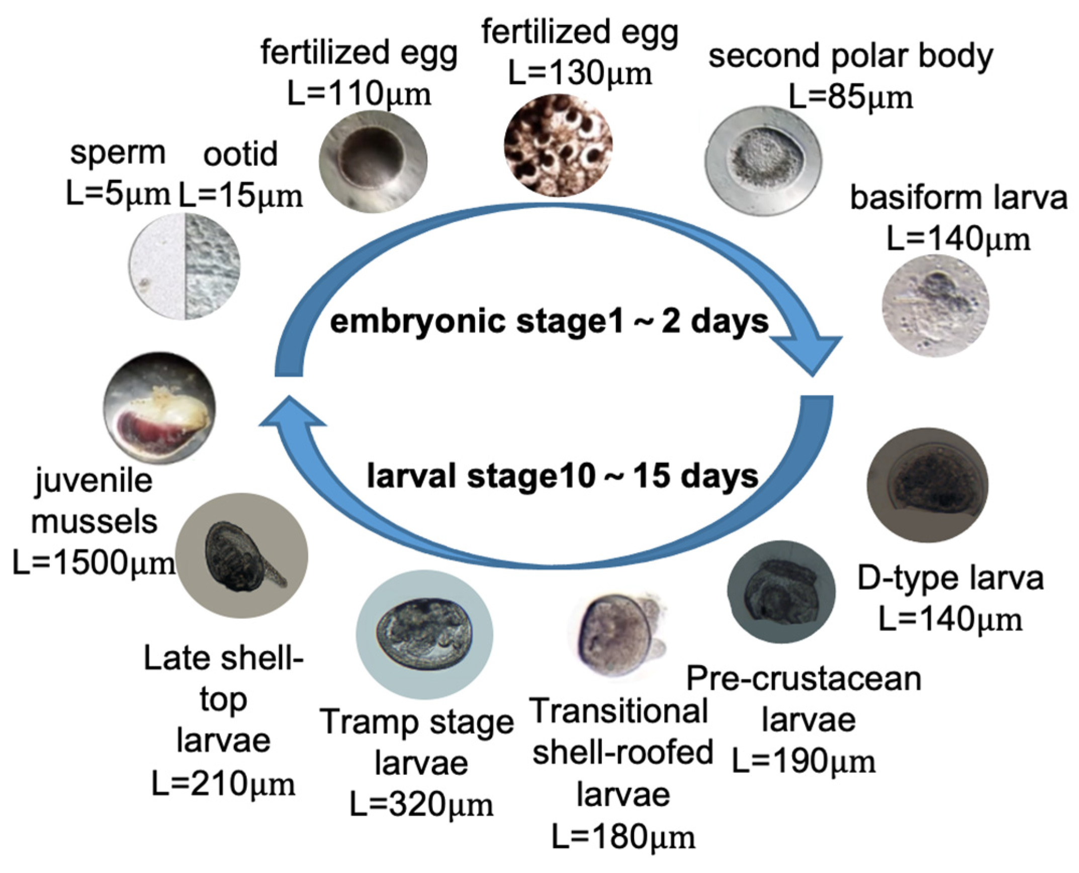 Sustainability 17 02240 g003