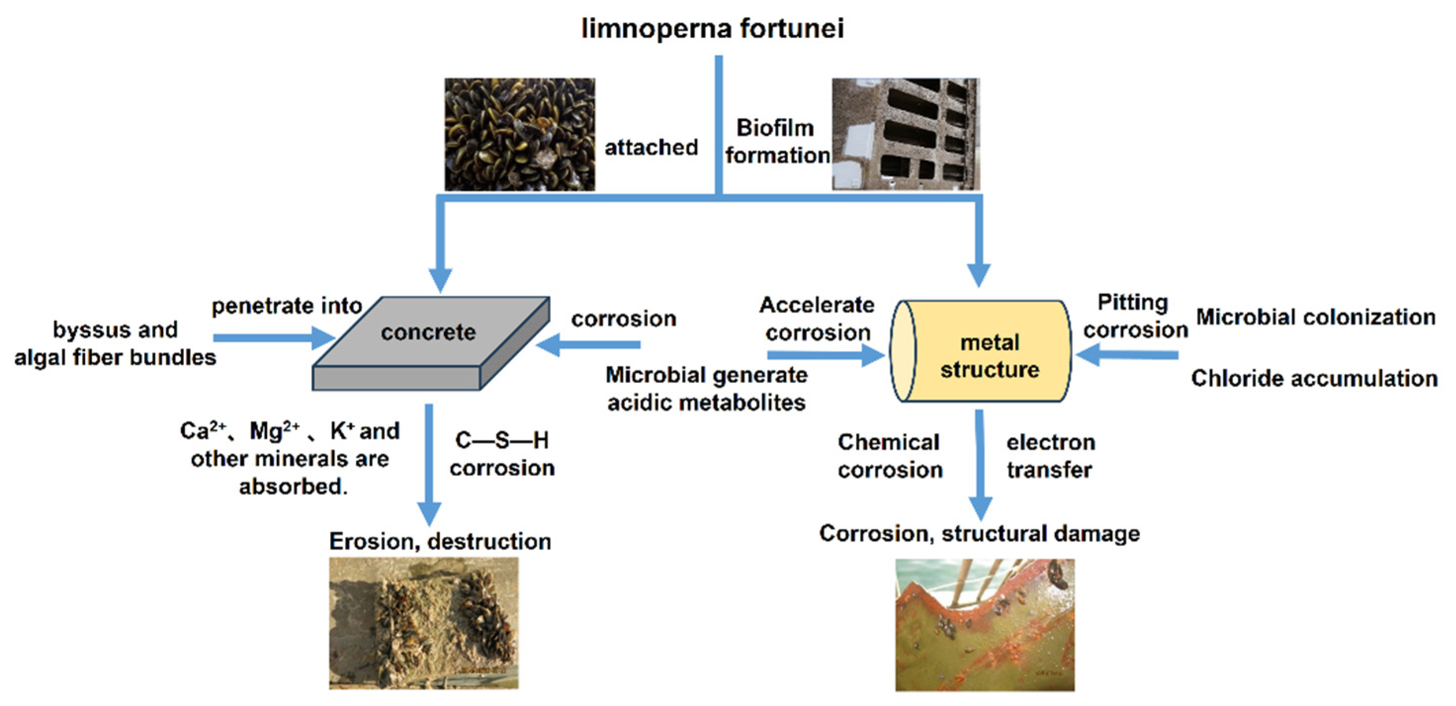 Sustainability 17 02240 g004