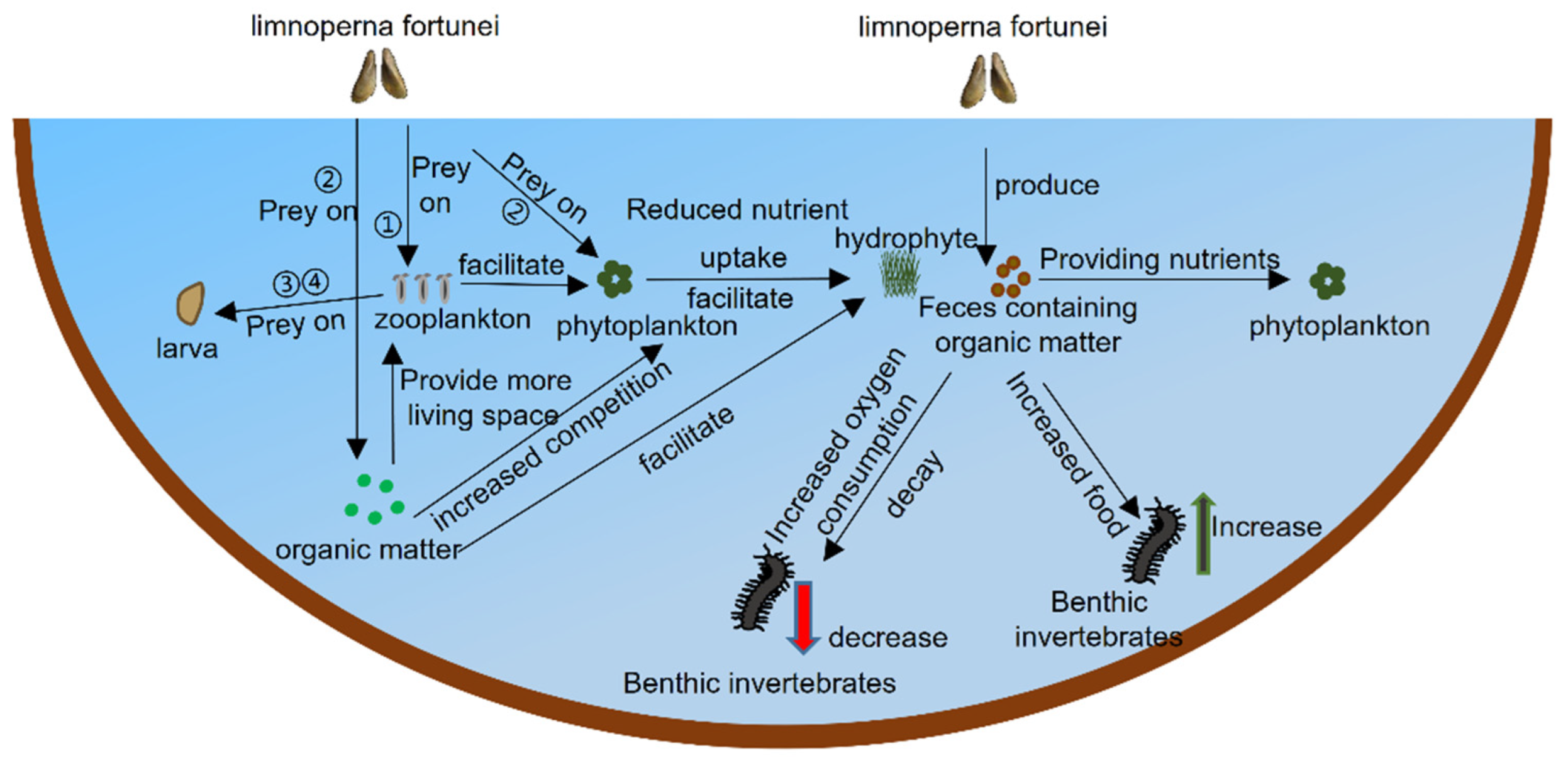 Sustainability 17 02240 g005