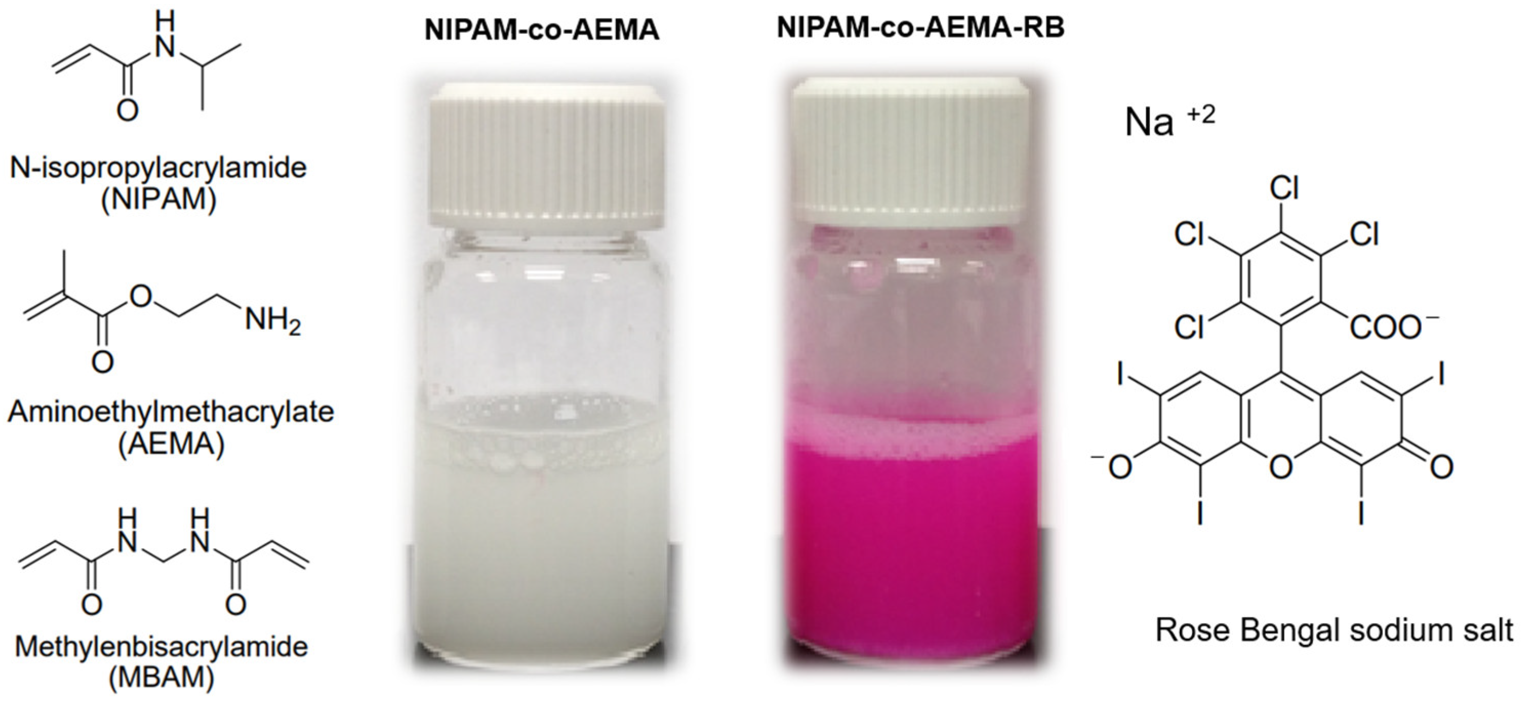 Sustainability 17 02331 g001 Sustainability 17 02331 g001