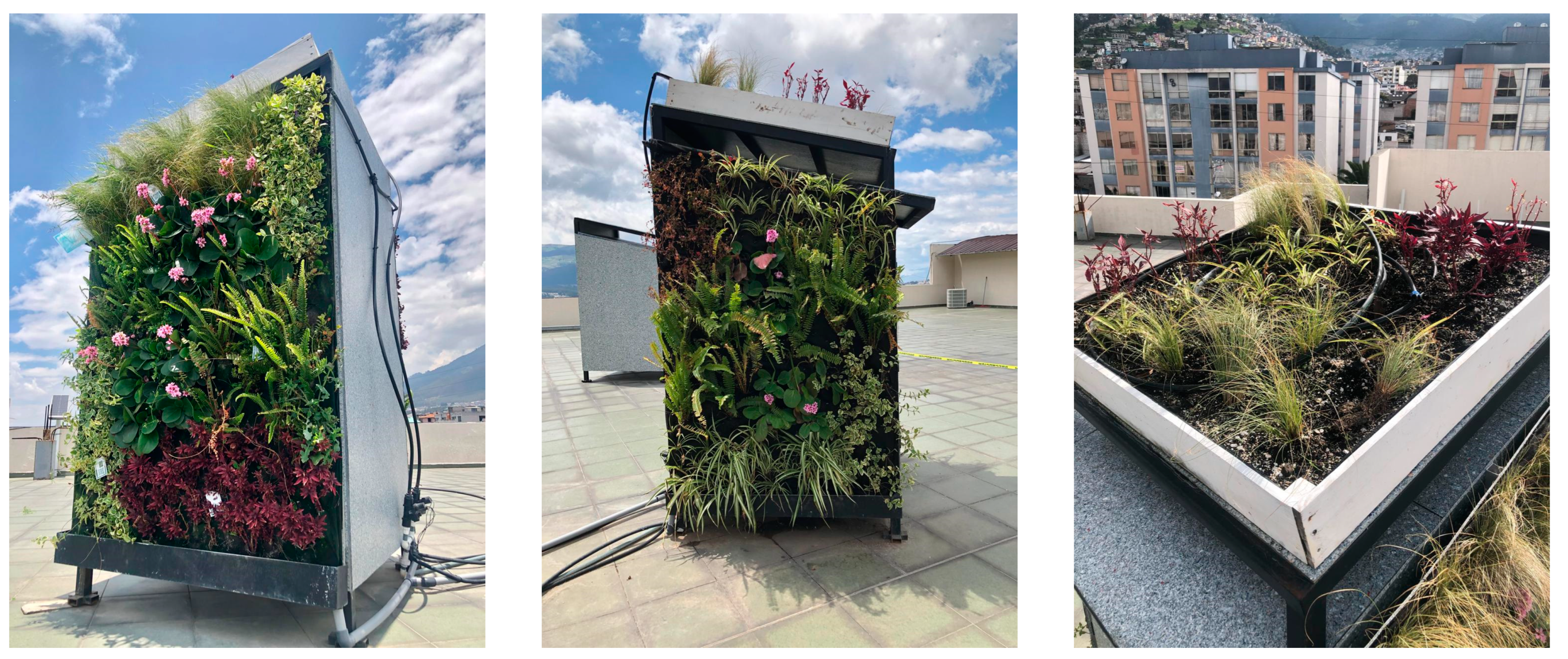 Sustainability 17 02333 g004