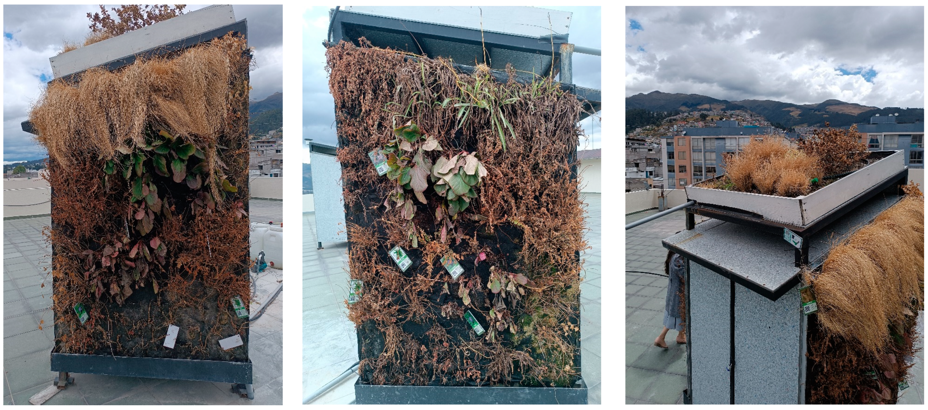 Sustainability 17 02333 g005