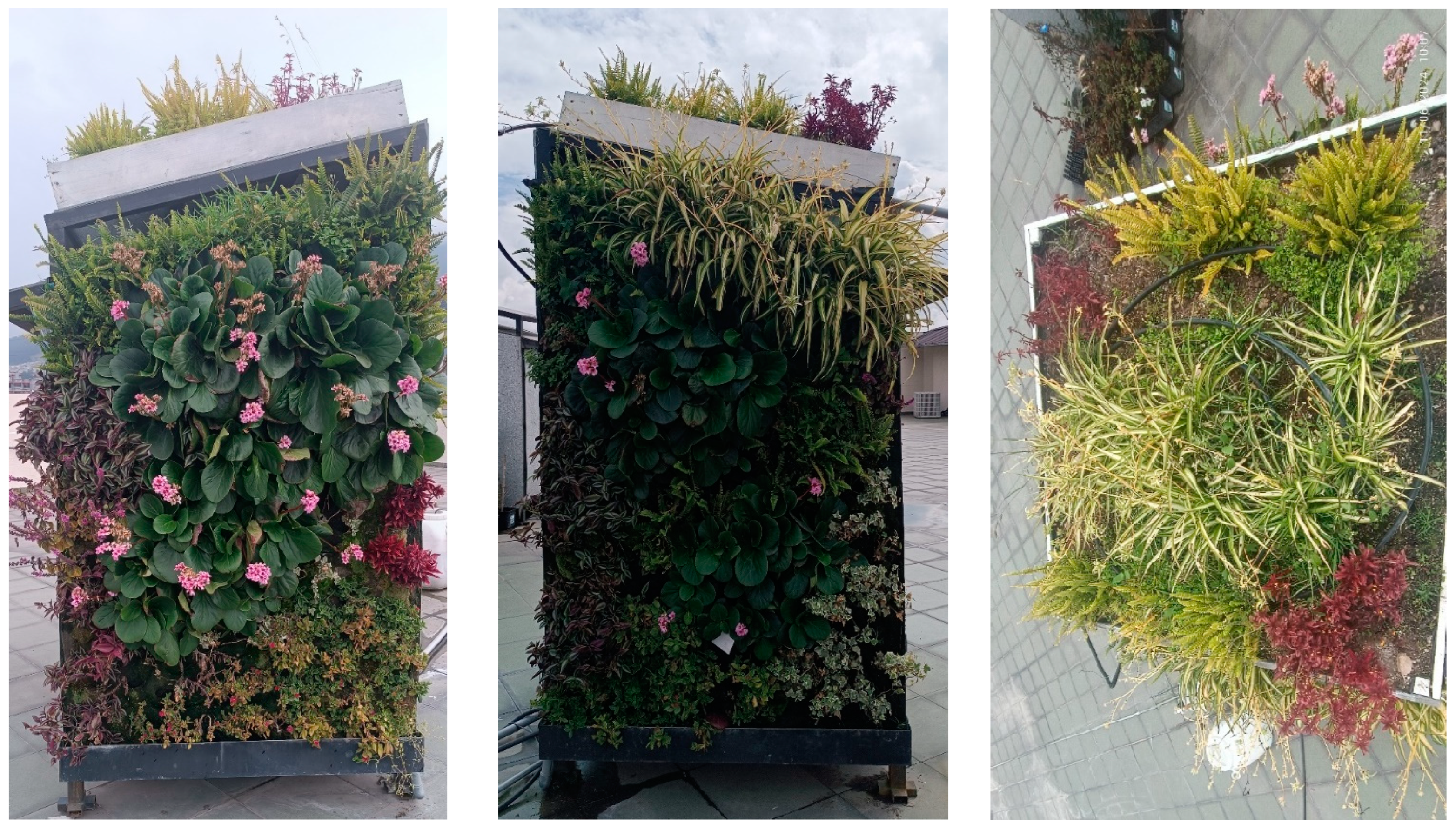 Sustainability 17 02333 g006