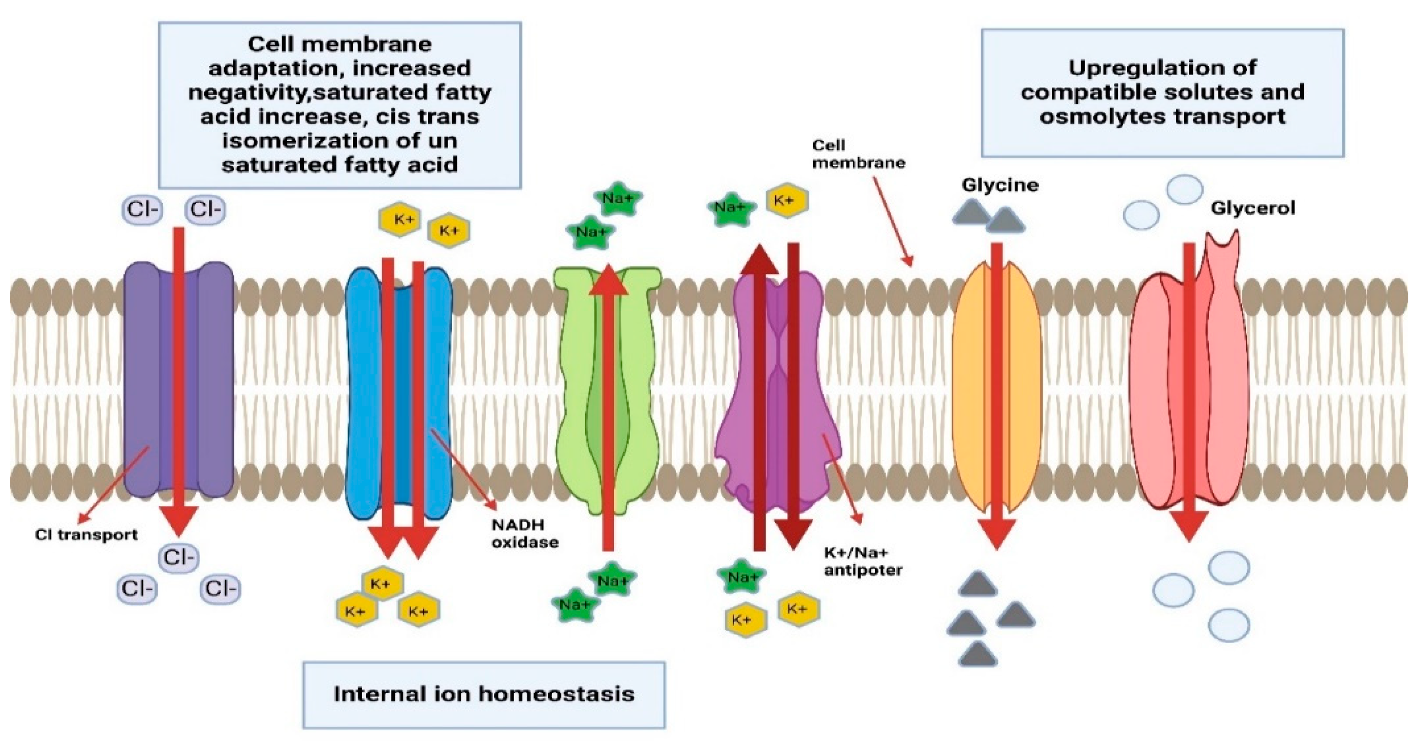 Sustainability 17 02339 g009