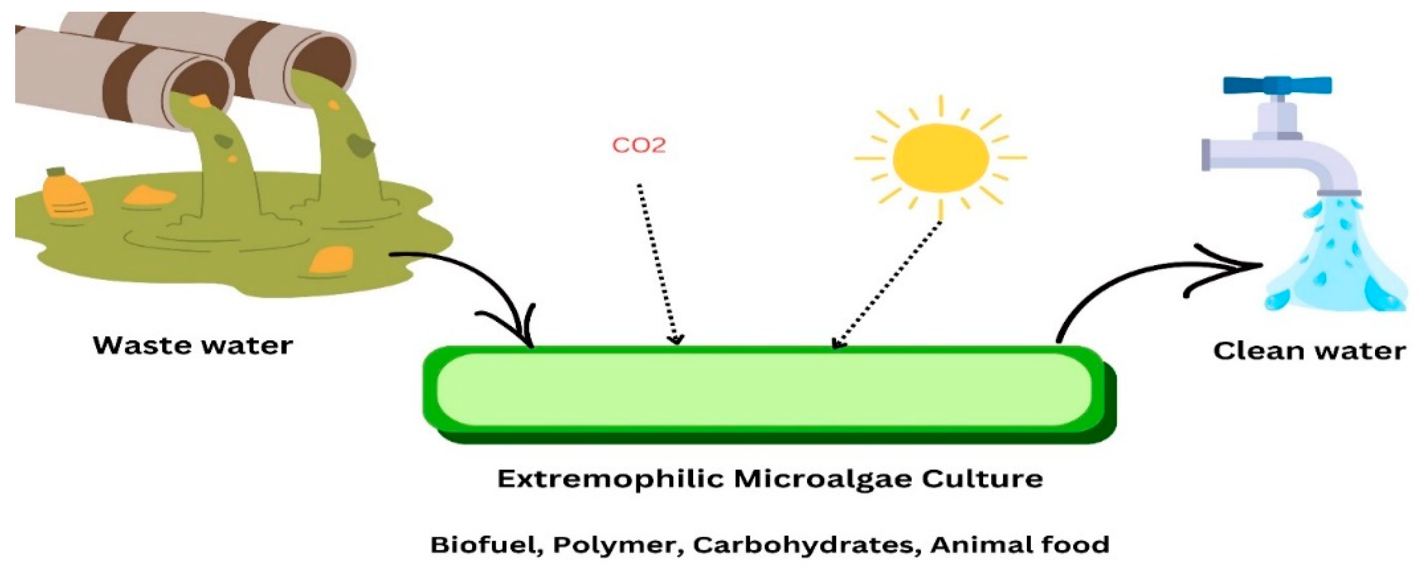 Sustainability 17 02339 g010