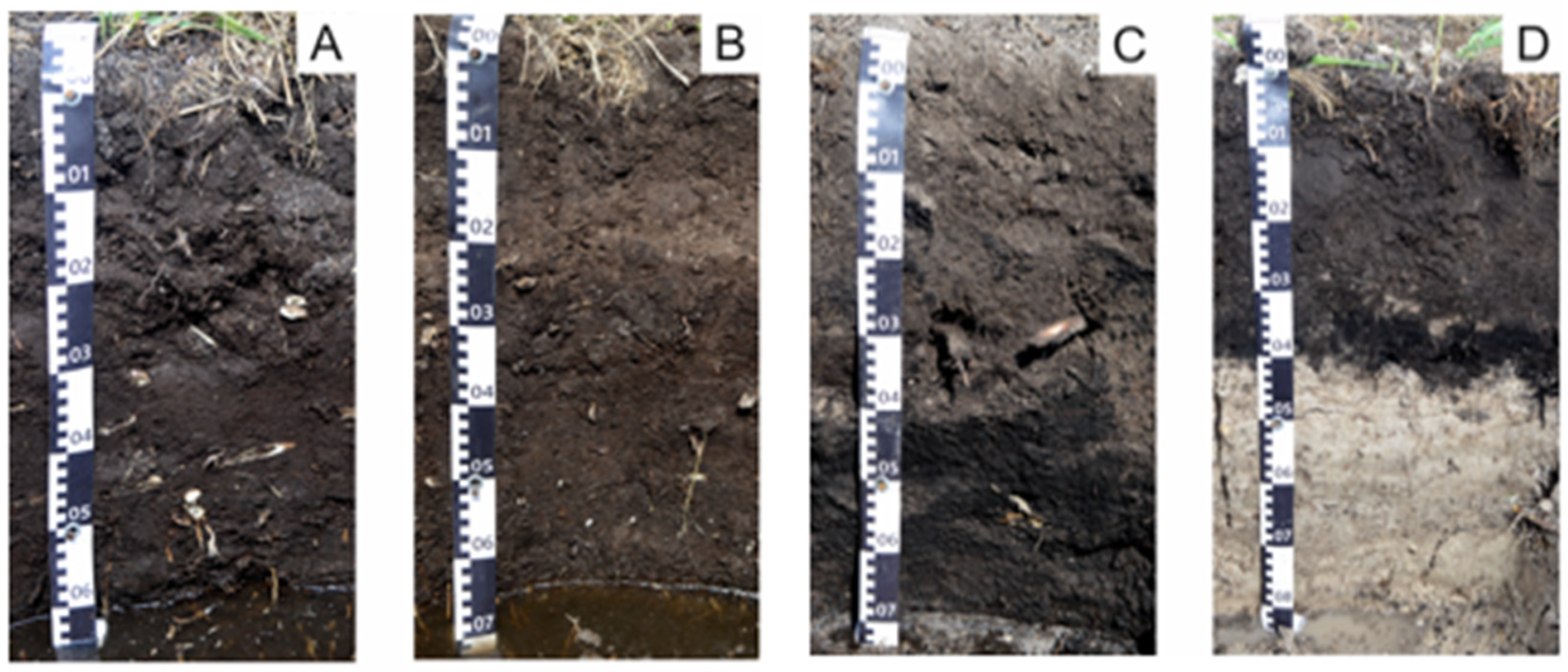 Sustainability 17 02431 g002