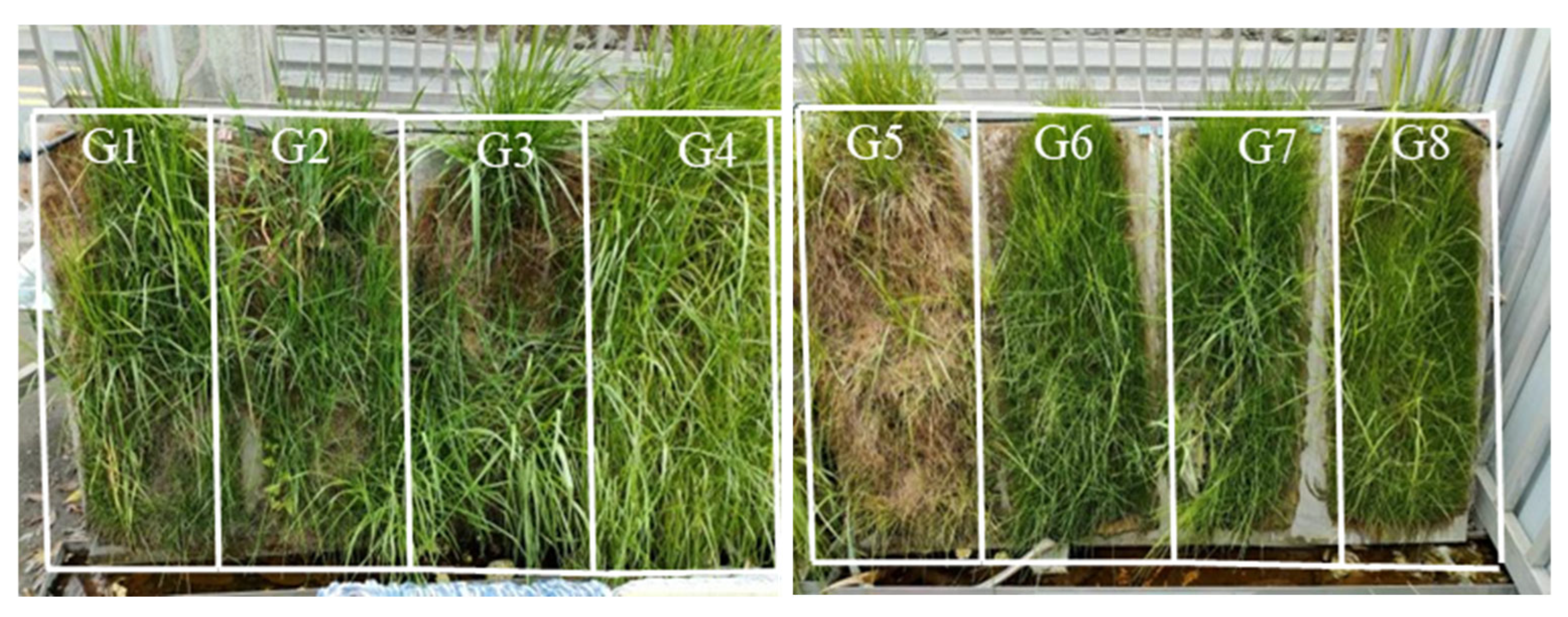 Sustainability 17 02444 g005