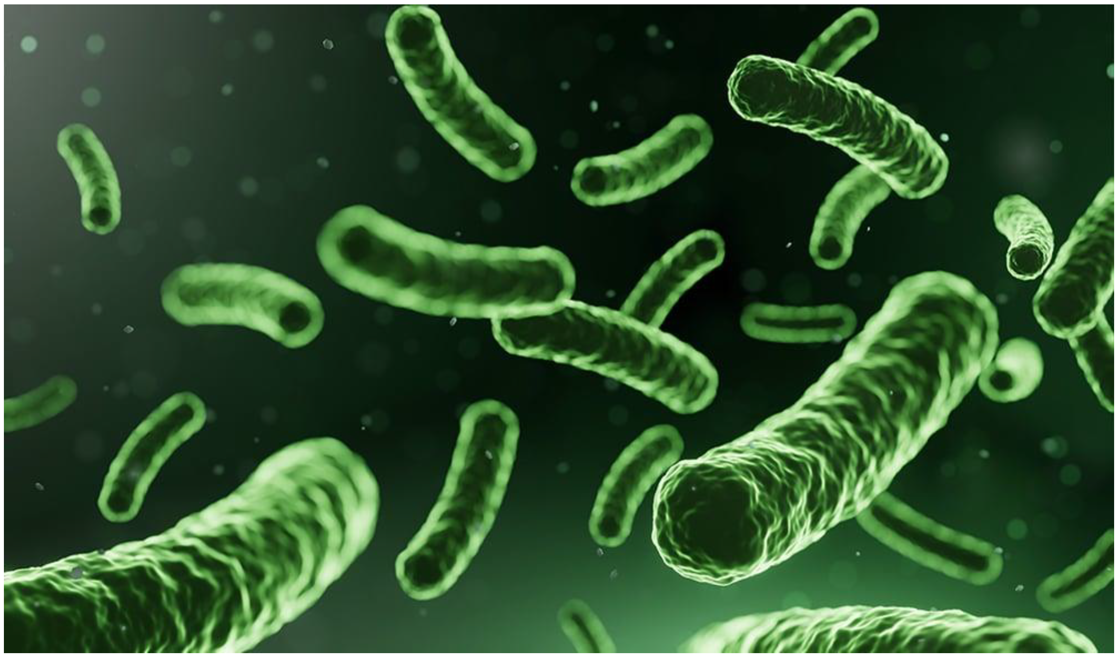 Sustainability 17 02553 g009