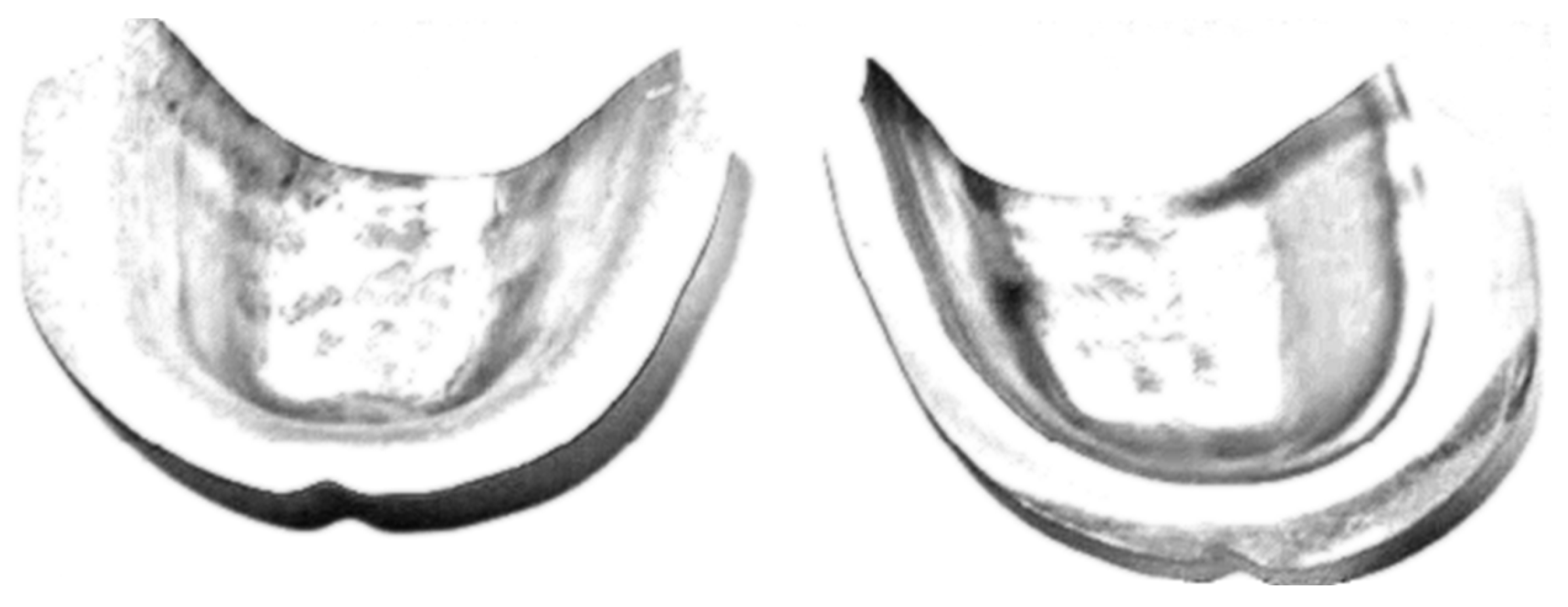 Sustainability 17 02562 g006