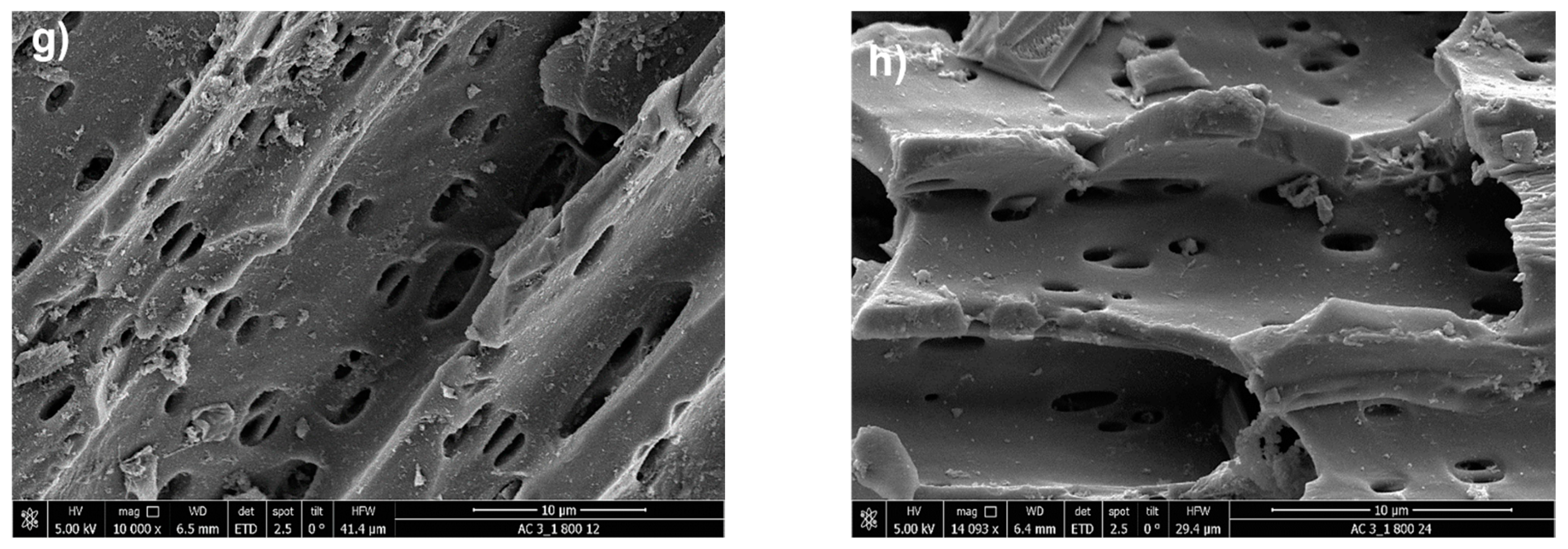 Sustainability 17 02568 g007b