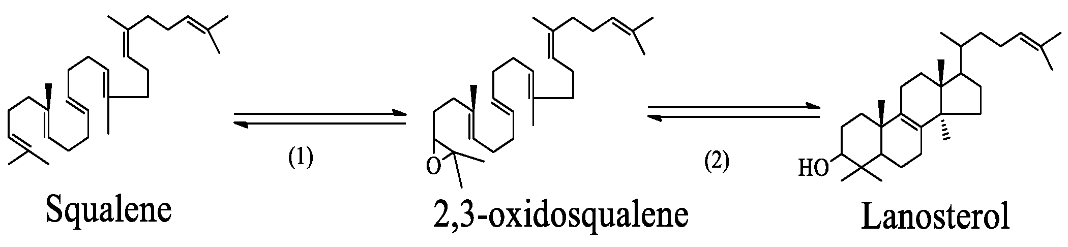 Sustainability 17 02815 g006