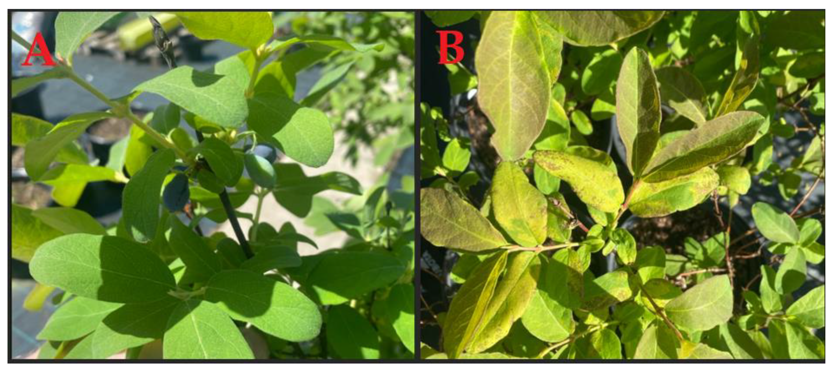 Sustainability 17 02820 g001