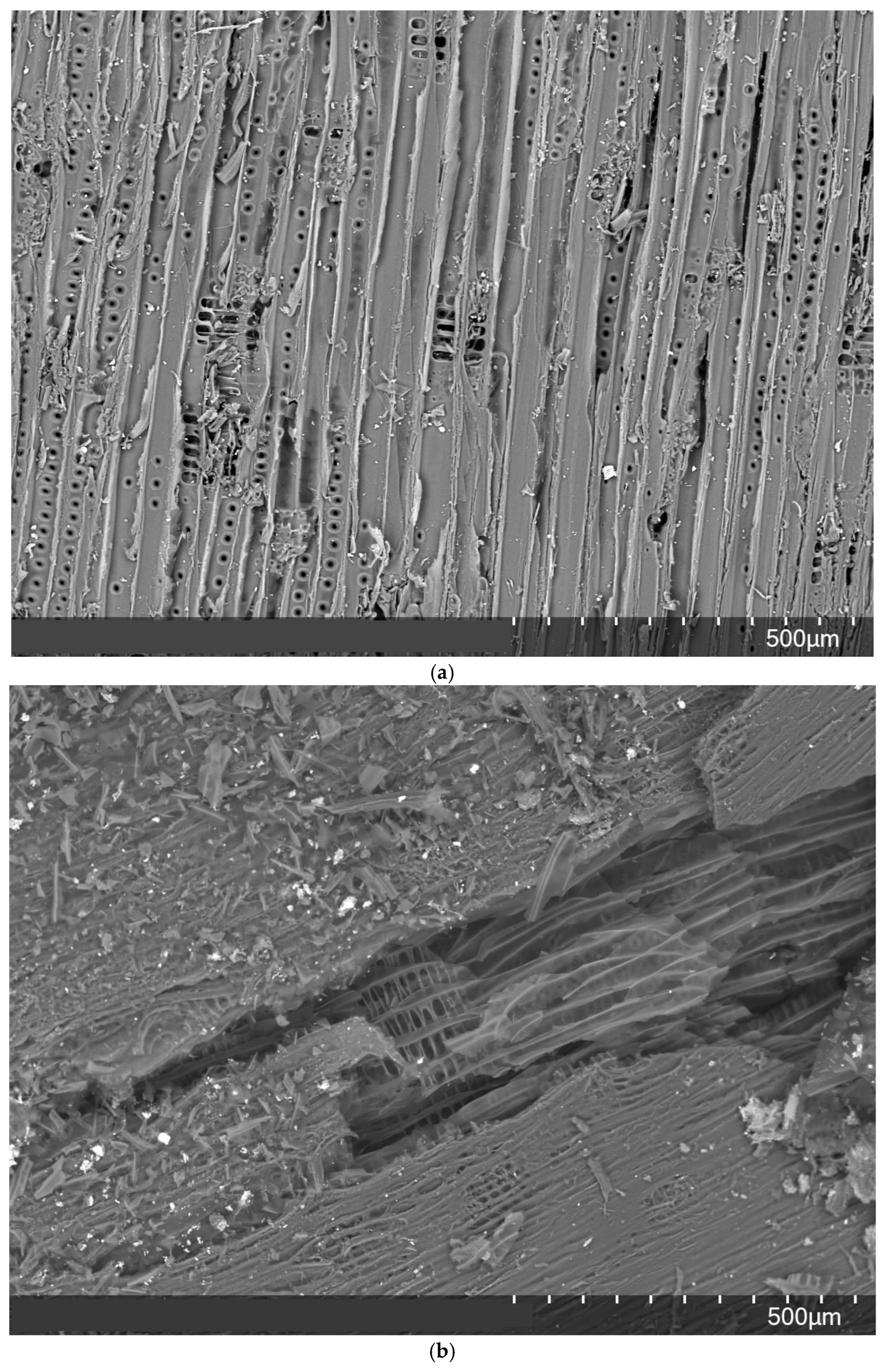 Sustainability 17 02845 g003