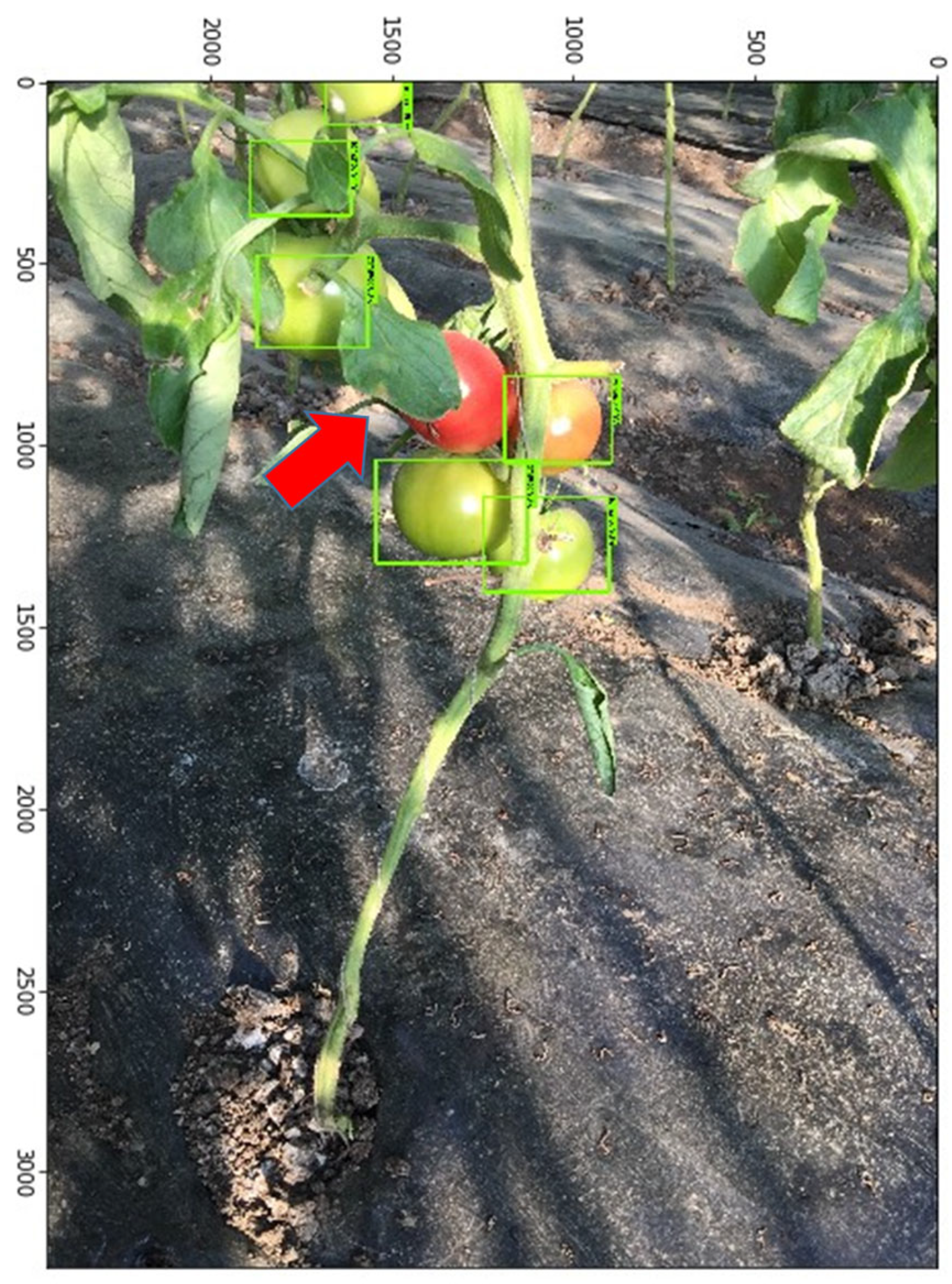 Sustainability 17 02885 g008