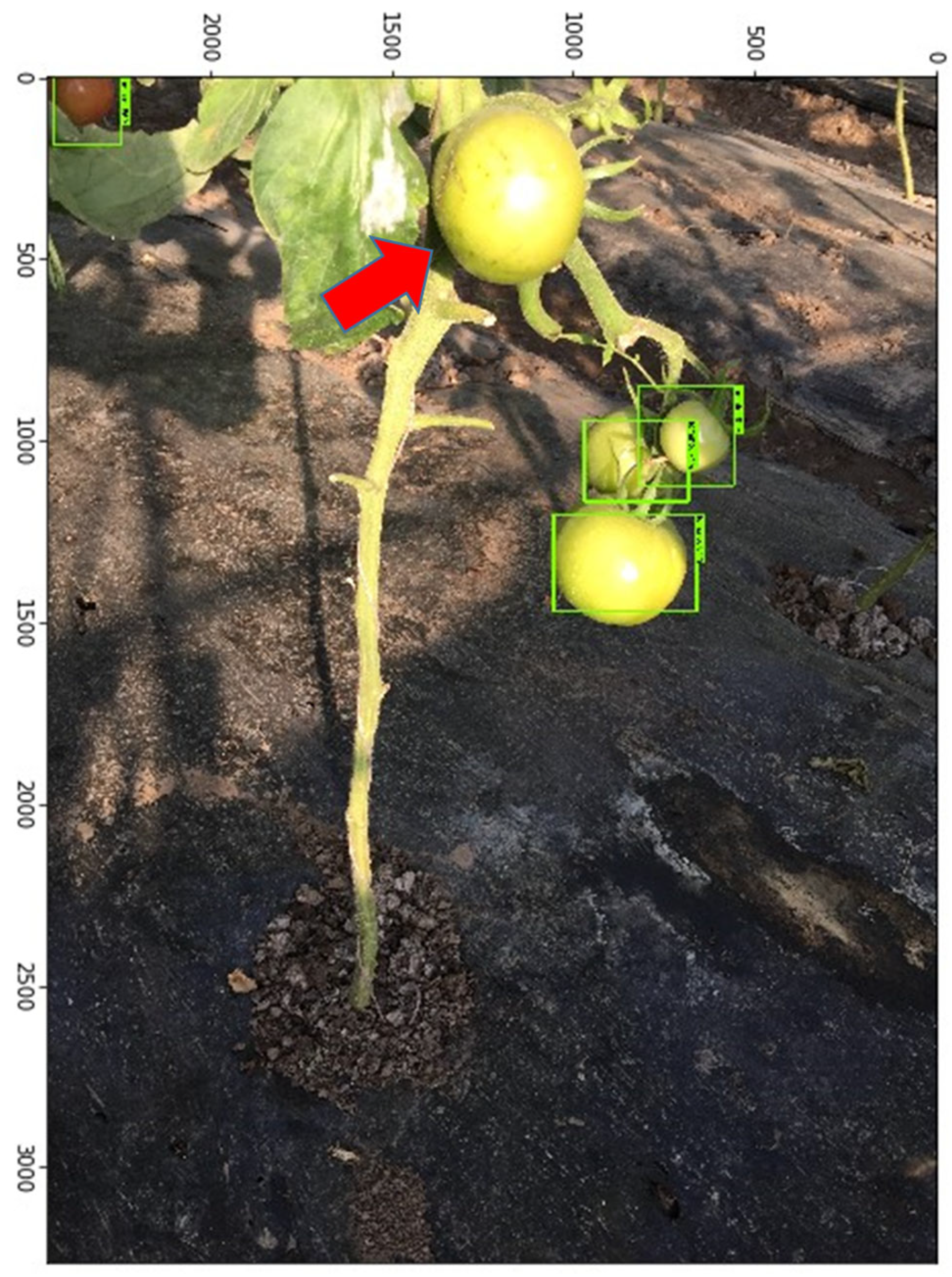 Sustainability 17 02885 g009