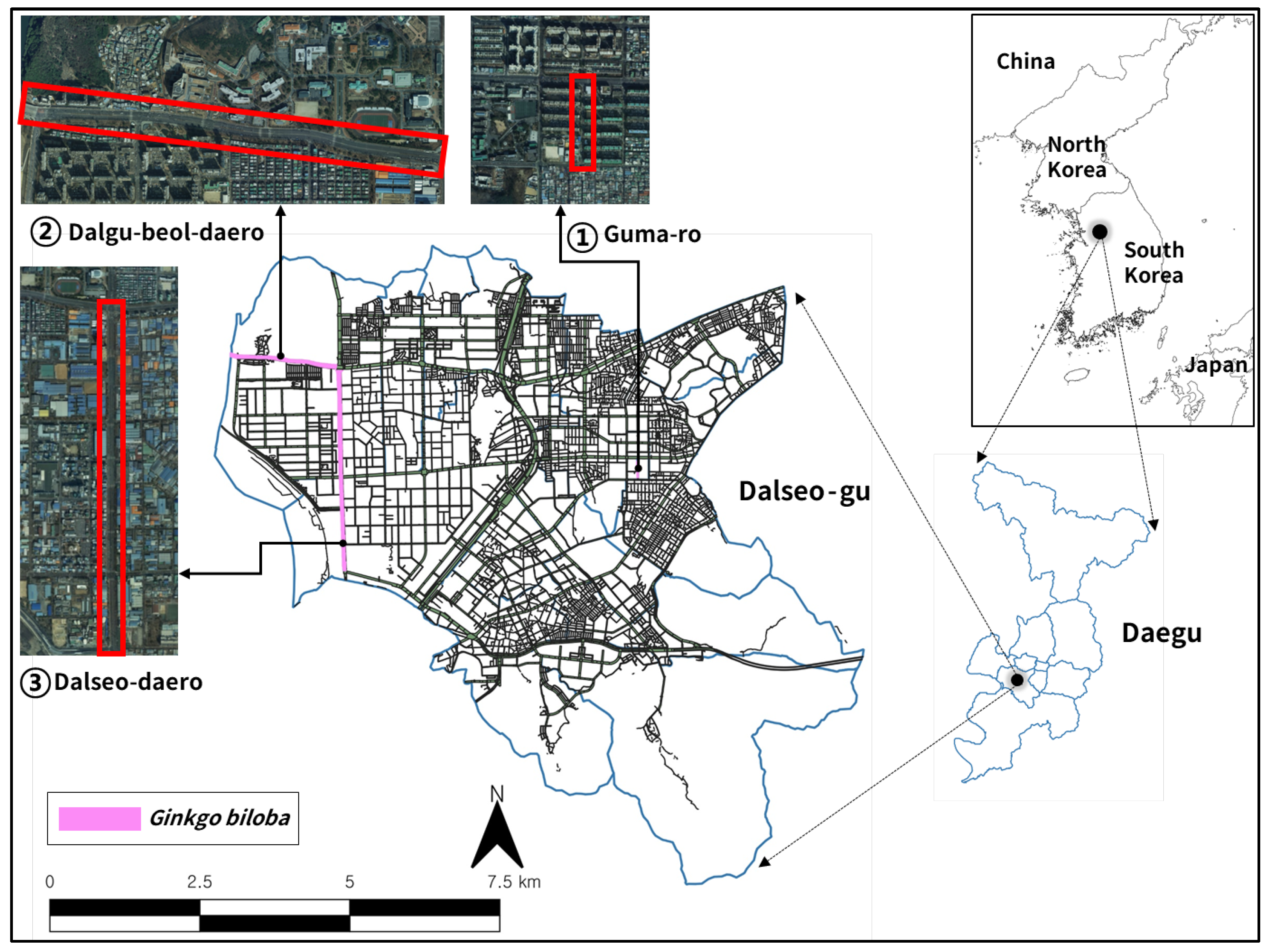 Sustainability 17 02943 g001 Sustainability 17 02943 g001