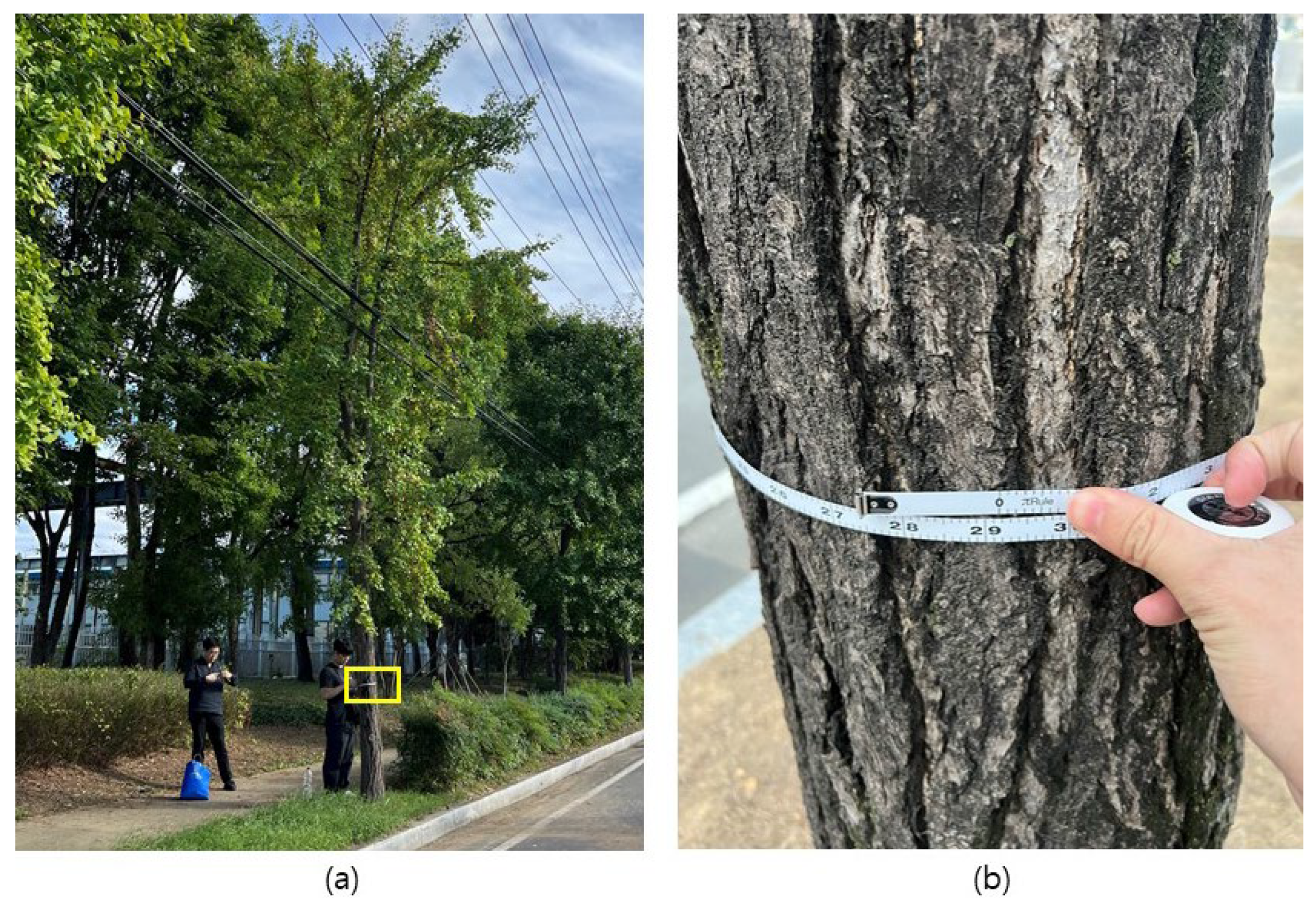 Sustainability 17 02943 g004 Sustainability 17 02943 g004