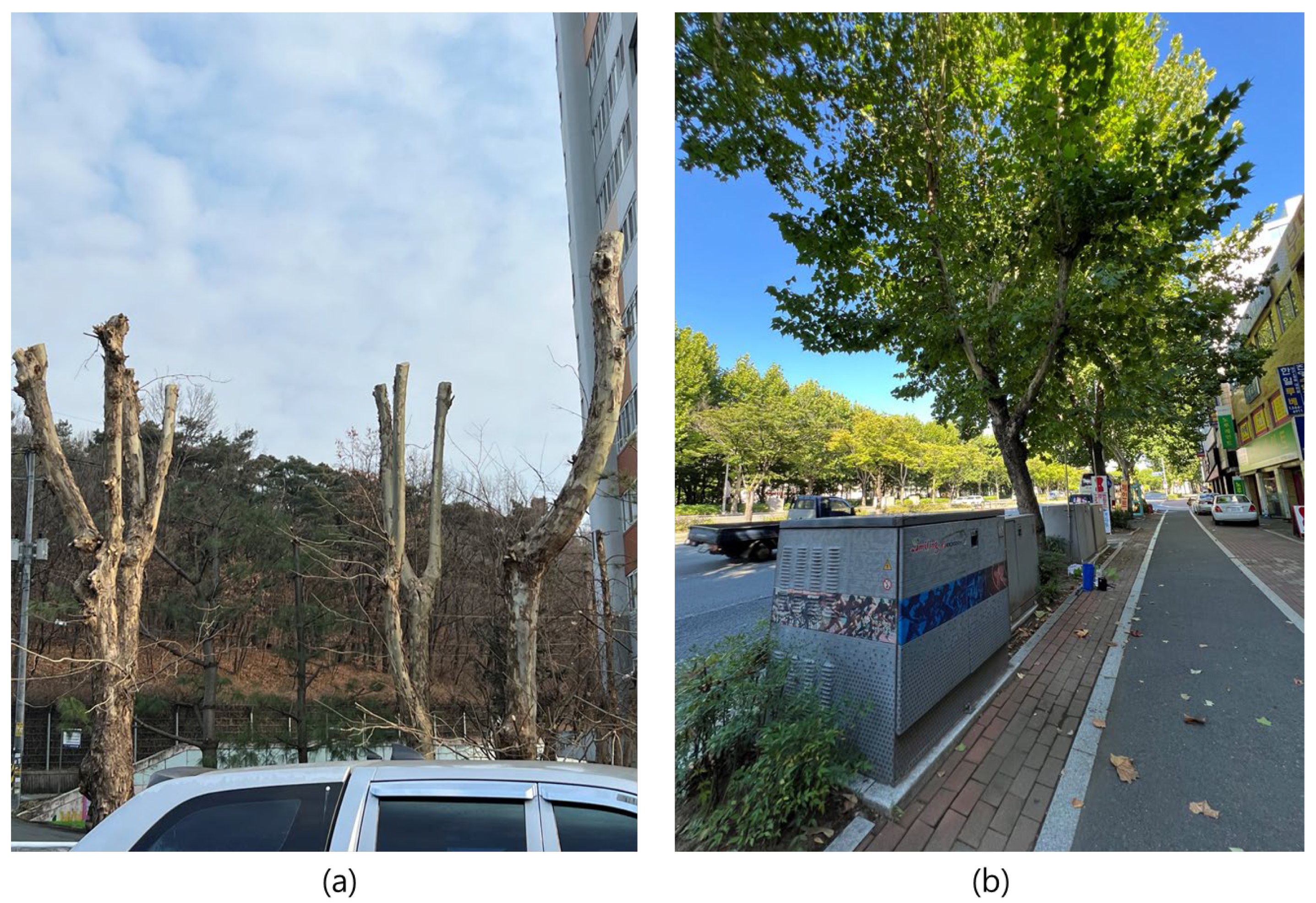 Sustainability 17 02943 g006 Sustainability 17 02943 g006