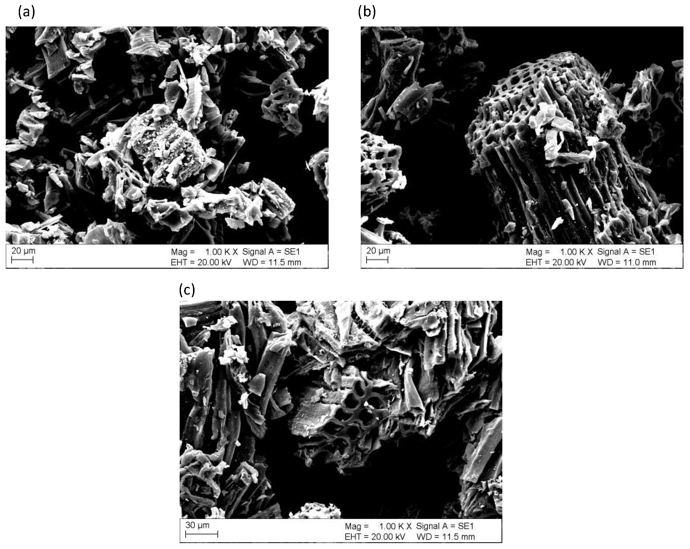 Sustainability 17 02995 g005