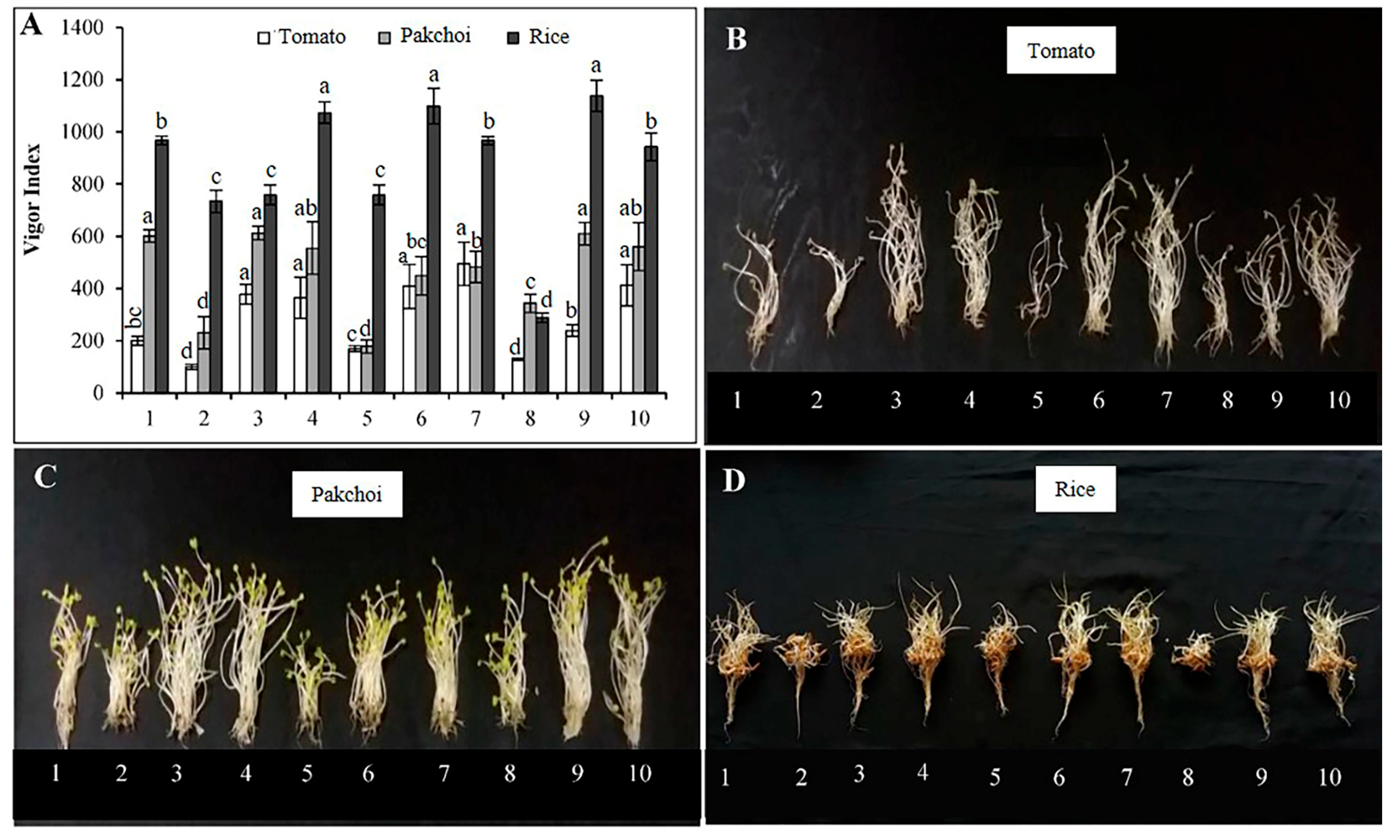 Sustainability 17 03087 g006