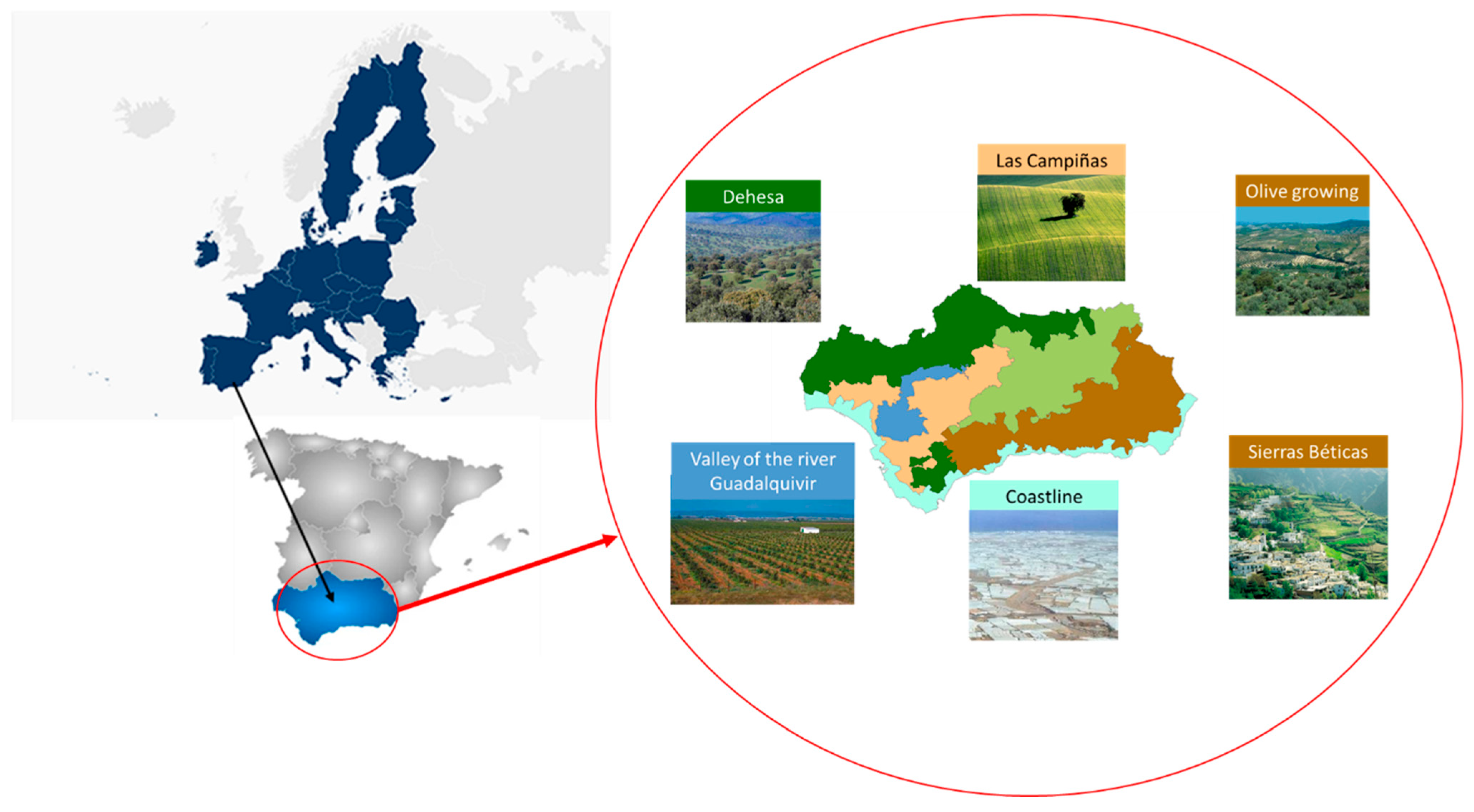 Sustainability 17 03128 g003