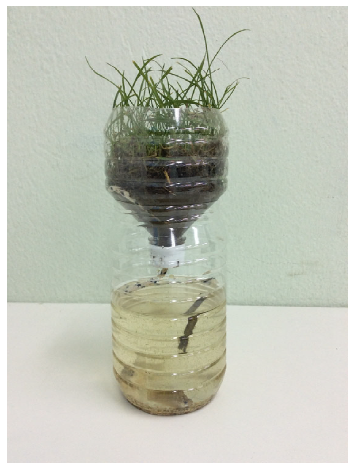 Sustainability 17 03212 g003