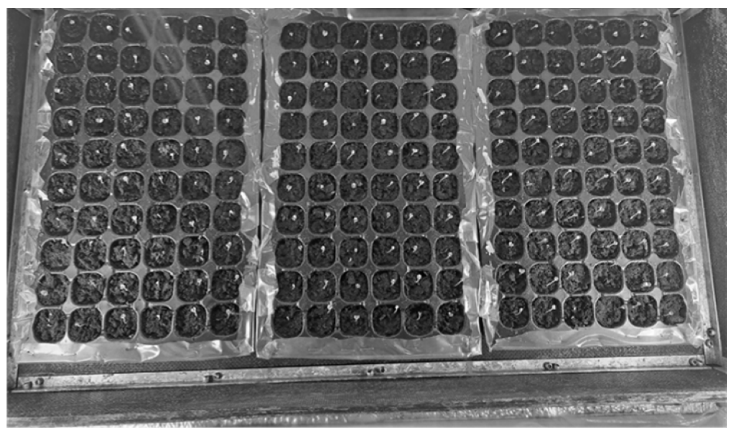 Sustainability 17 03268 g002