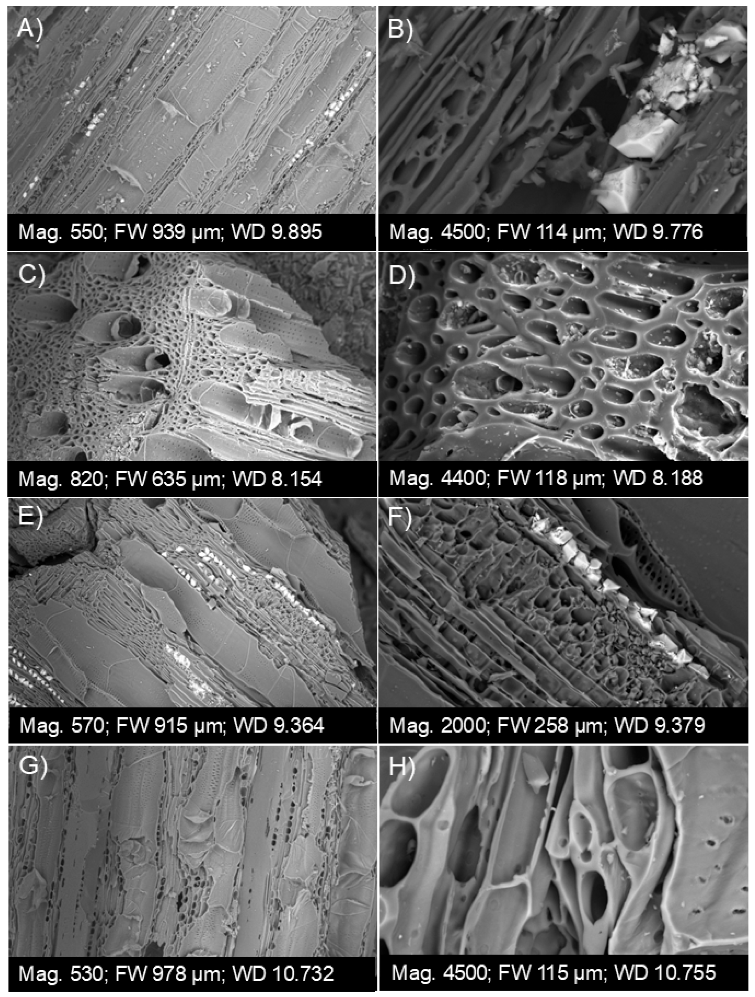 Sustainability 17 03306 g002