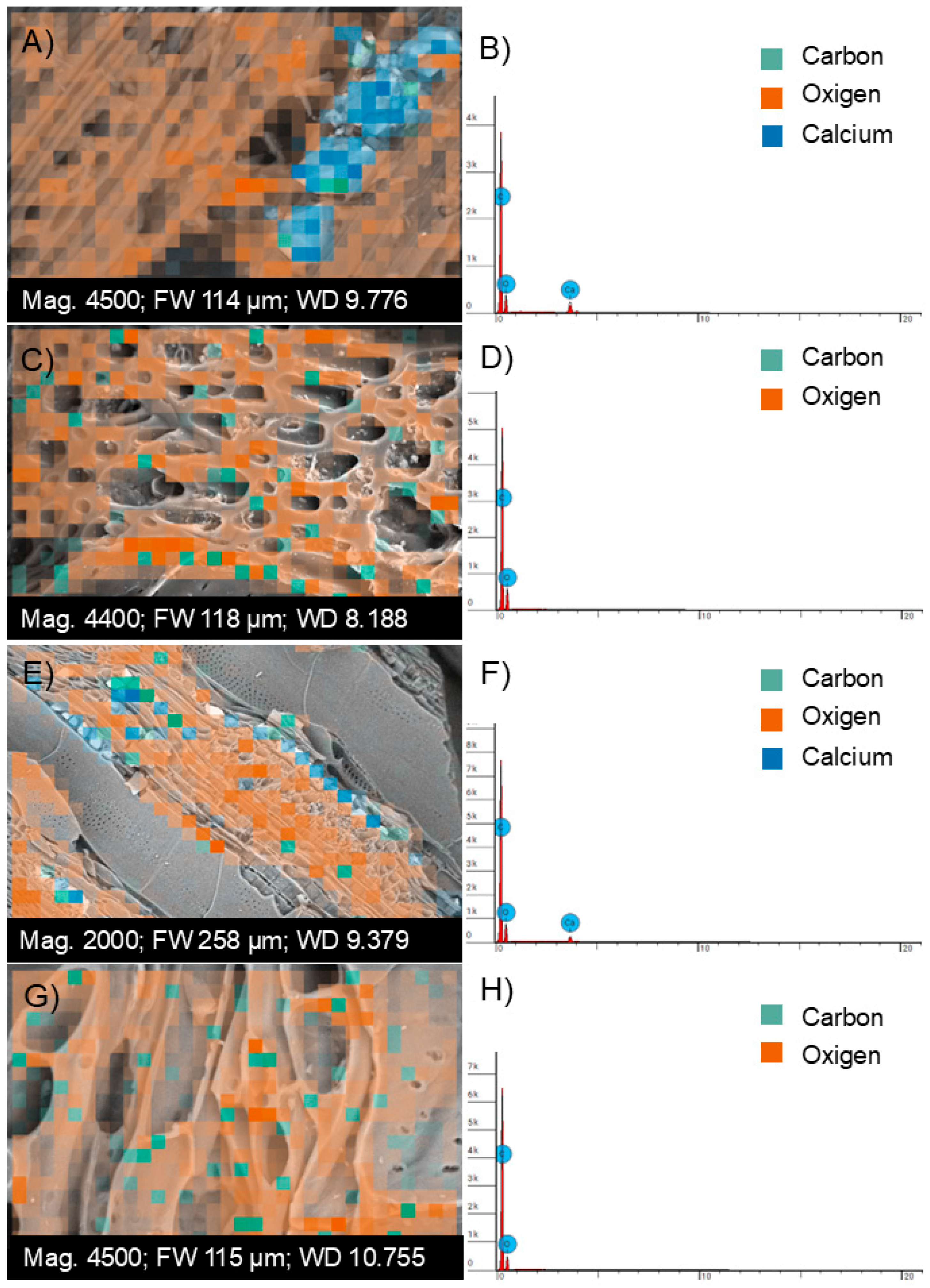 Sustainability 17 03306 g003