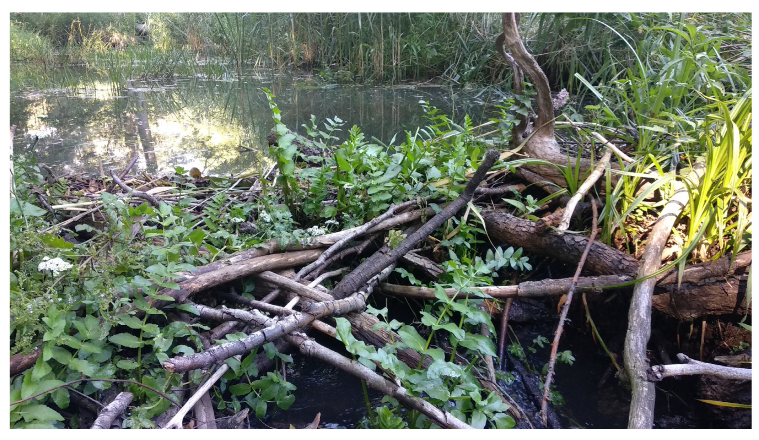 Sustainability 17 03317 g003