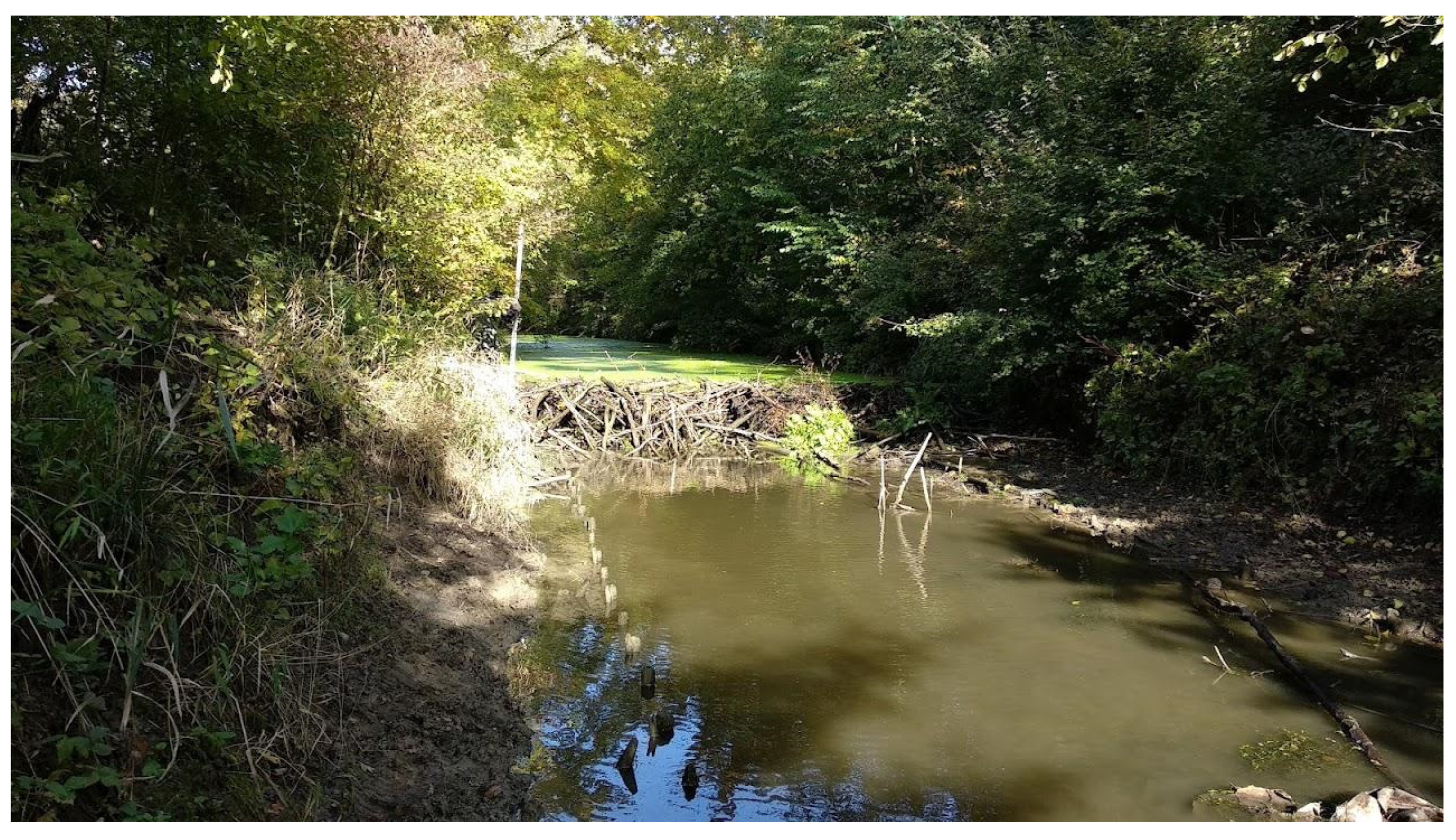 Sustainability 17 03317 g004