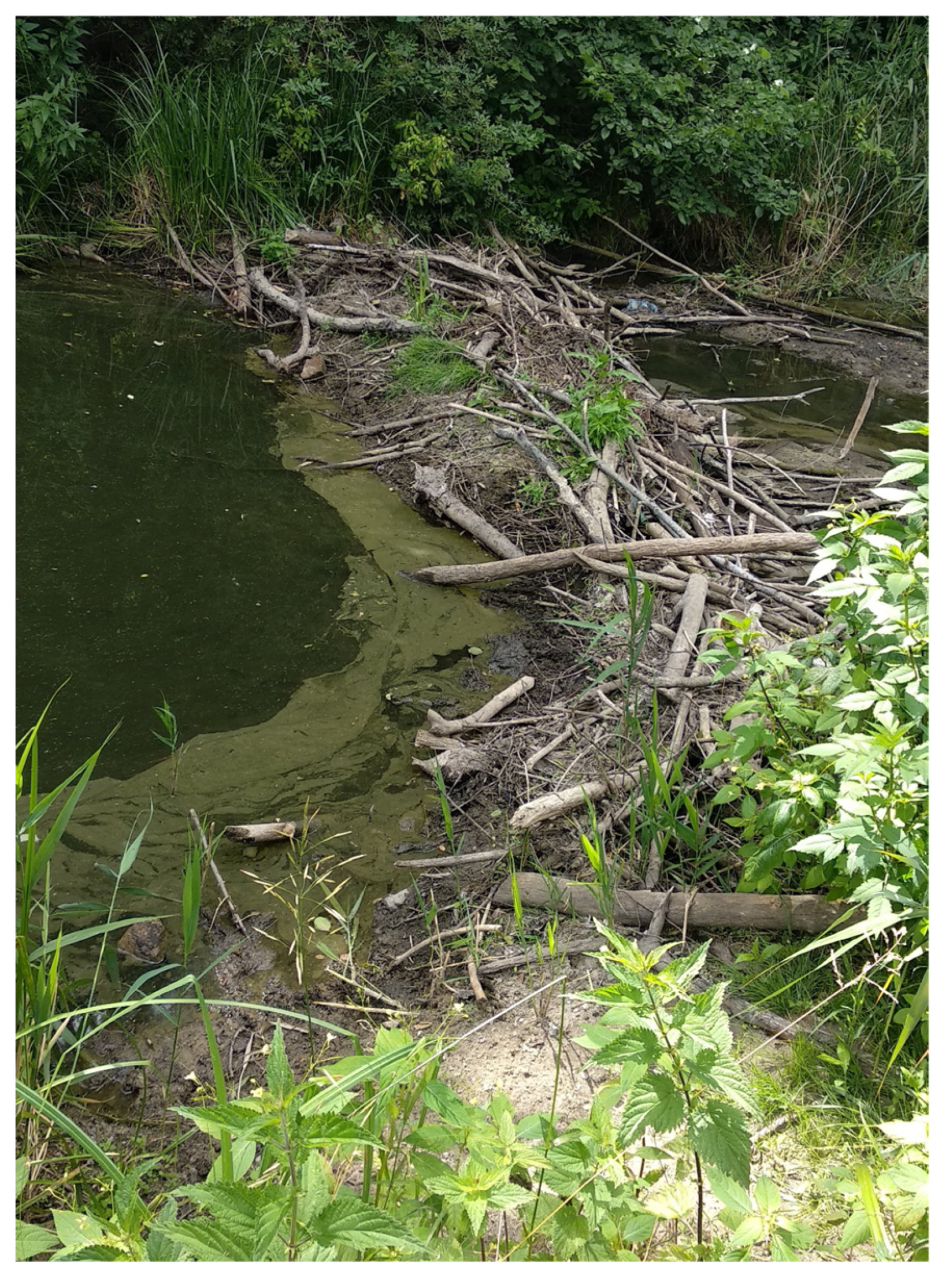 Sustainability 17 03317 g005