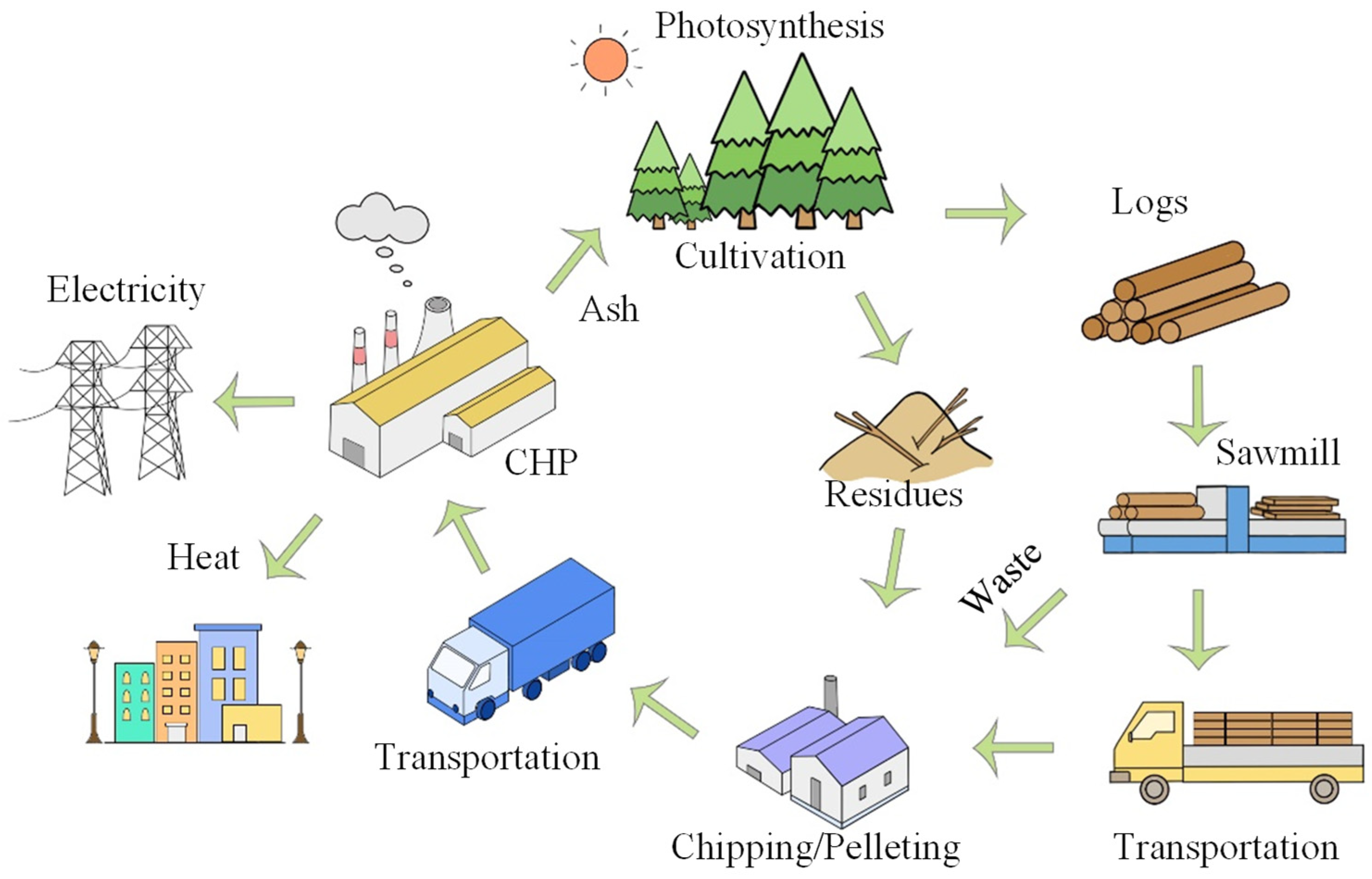 A Critical Review of Life Cycle Assessments on Bioenergy