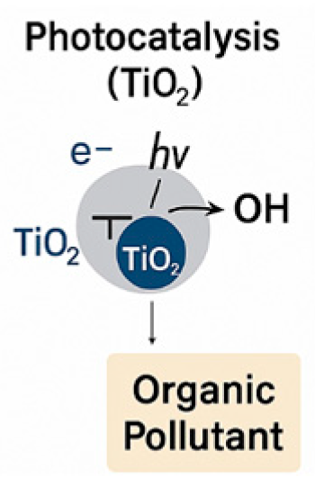 Sustainability 17 03439 g004