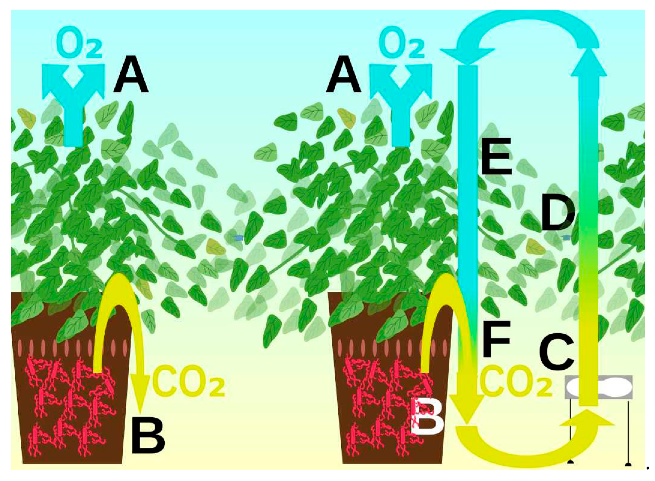 Sustainability 17 03467 g004