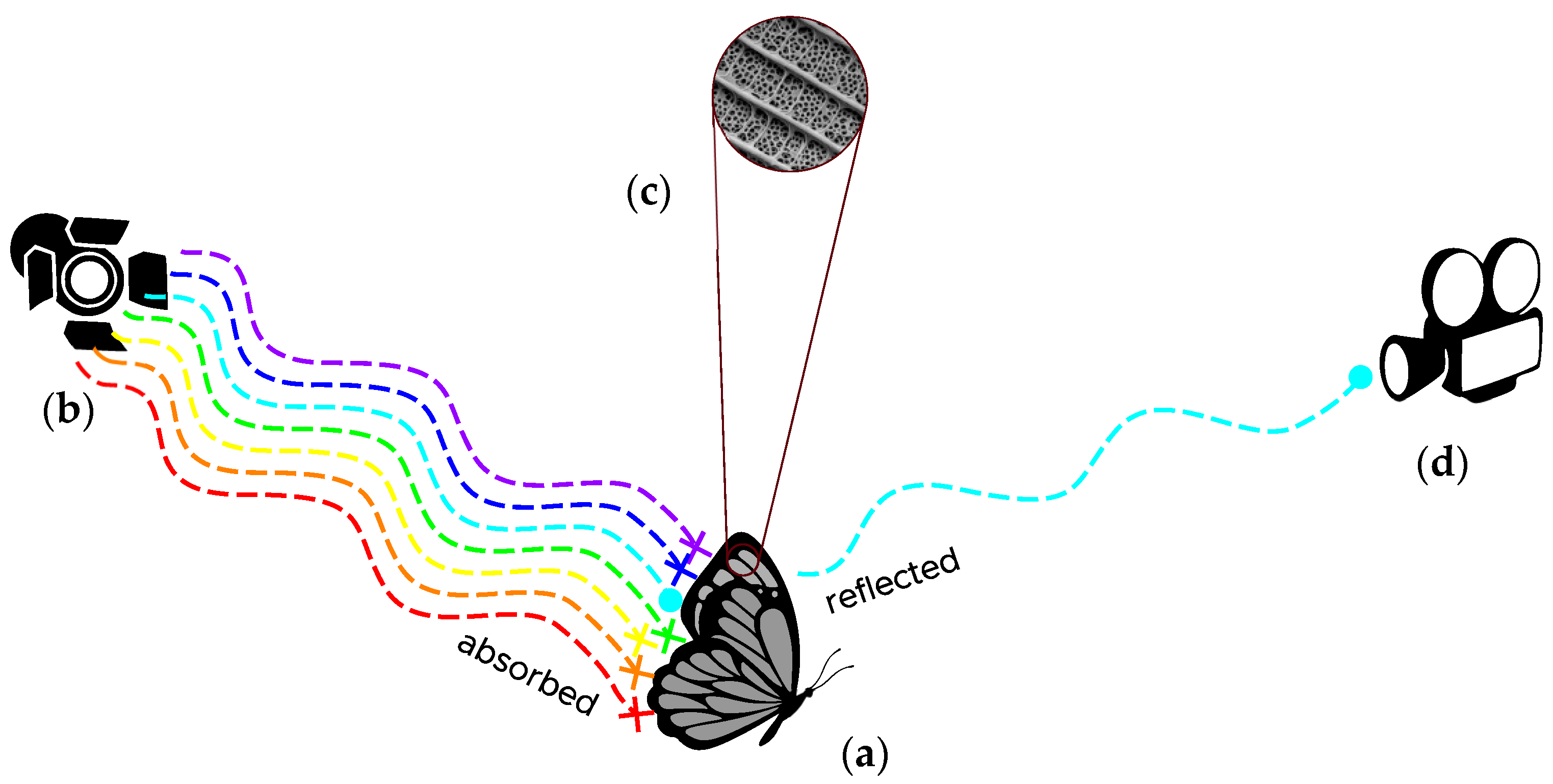 Sustainability 17 03495 g003