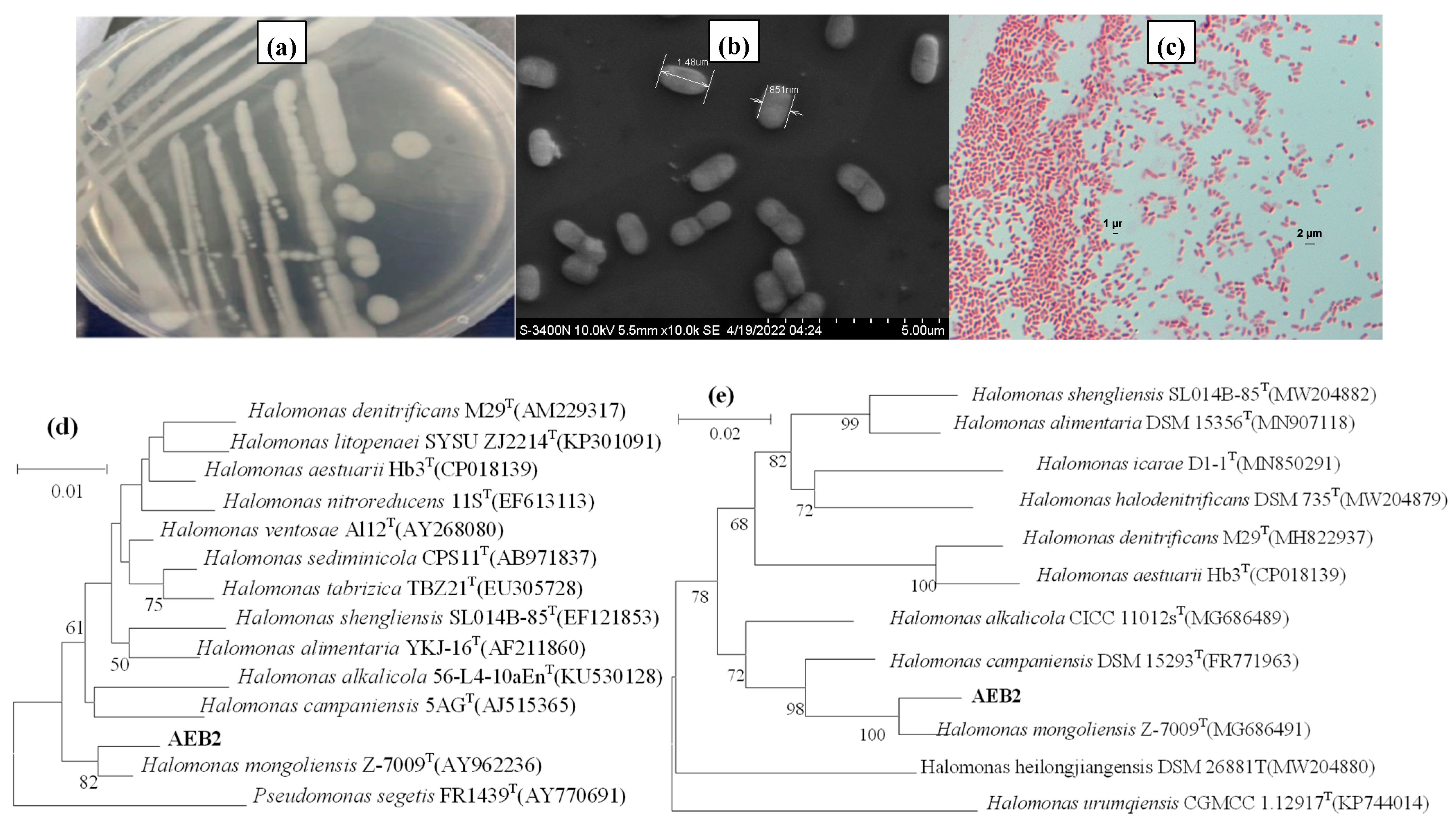 Sustainability 17 03551 g002