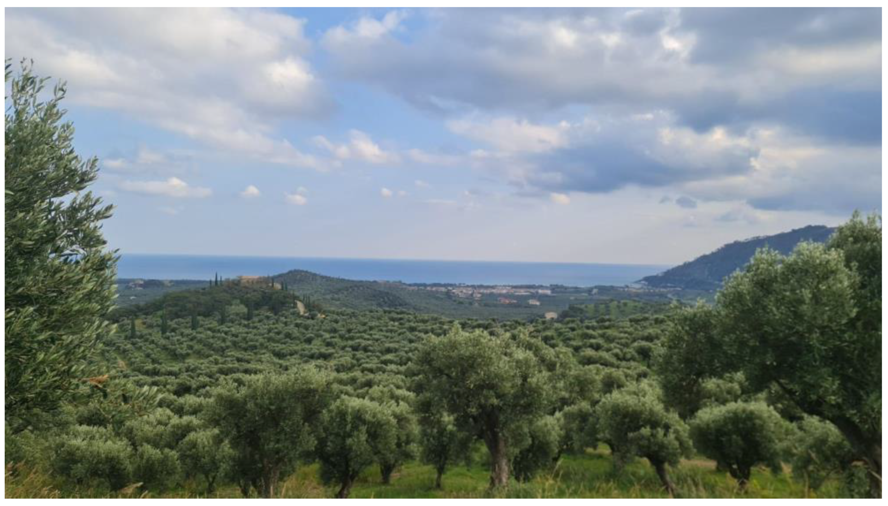 Sustainability 17 03553 g003