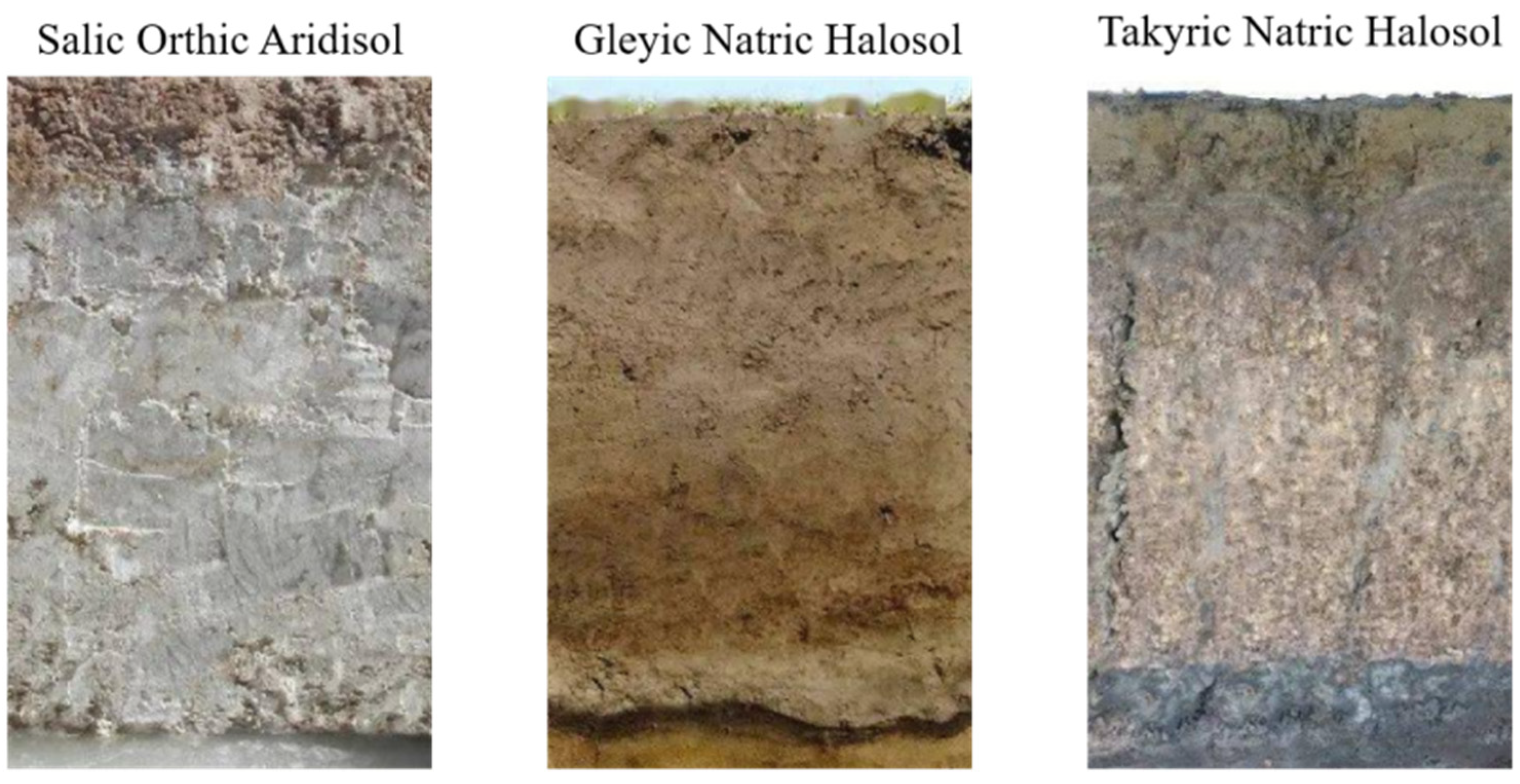 Sustainability 17 03581 g002